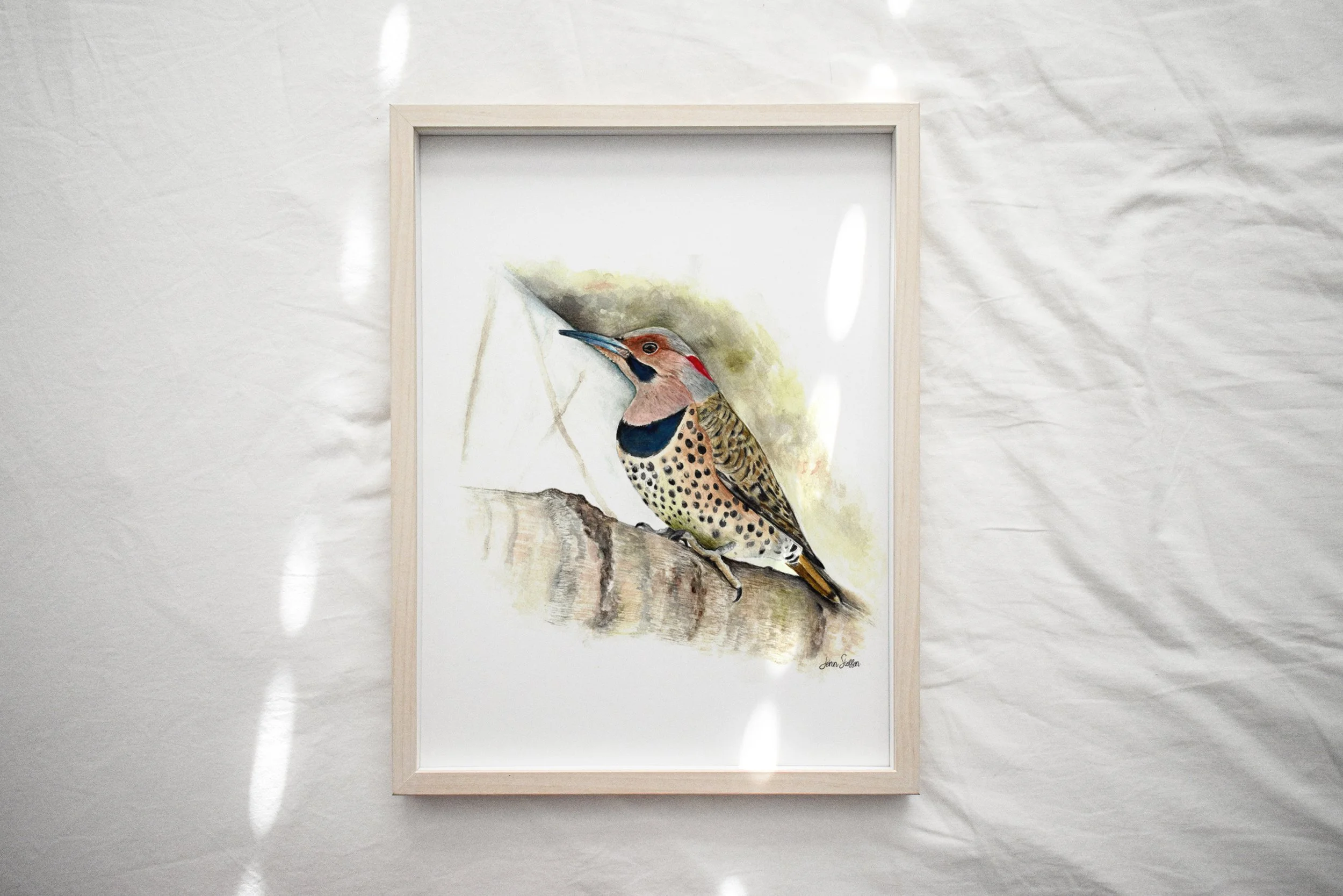 WebsiteMockup-1NorthernFlicker_WatercolorJennSteffenArt.jpg