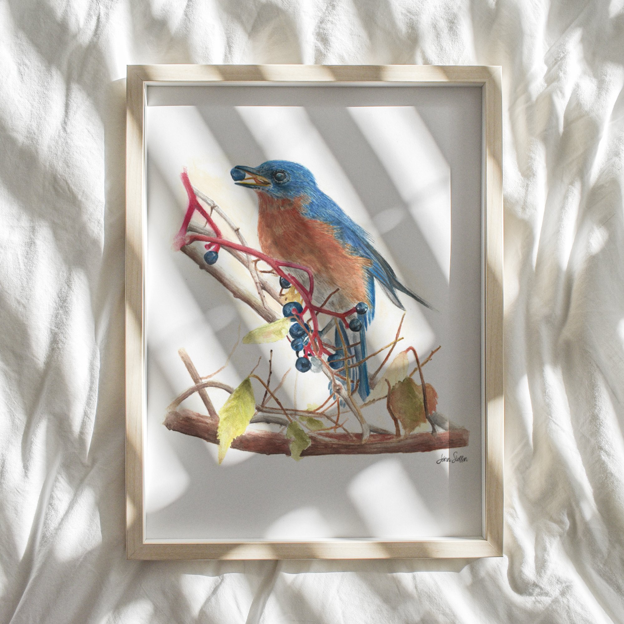 WebsiteMockup-2Bluebird_Berries_JennSteffenArt.jpg