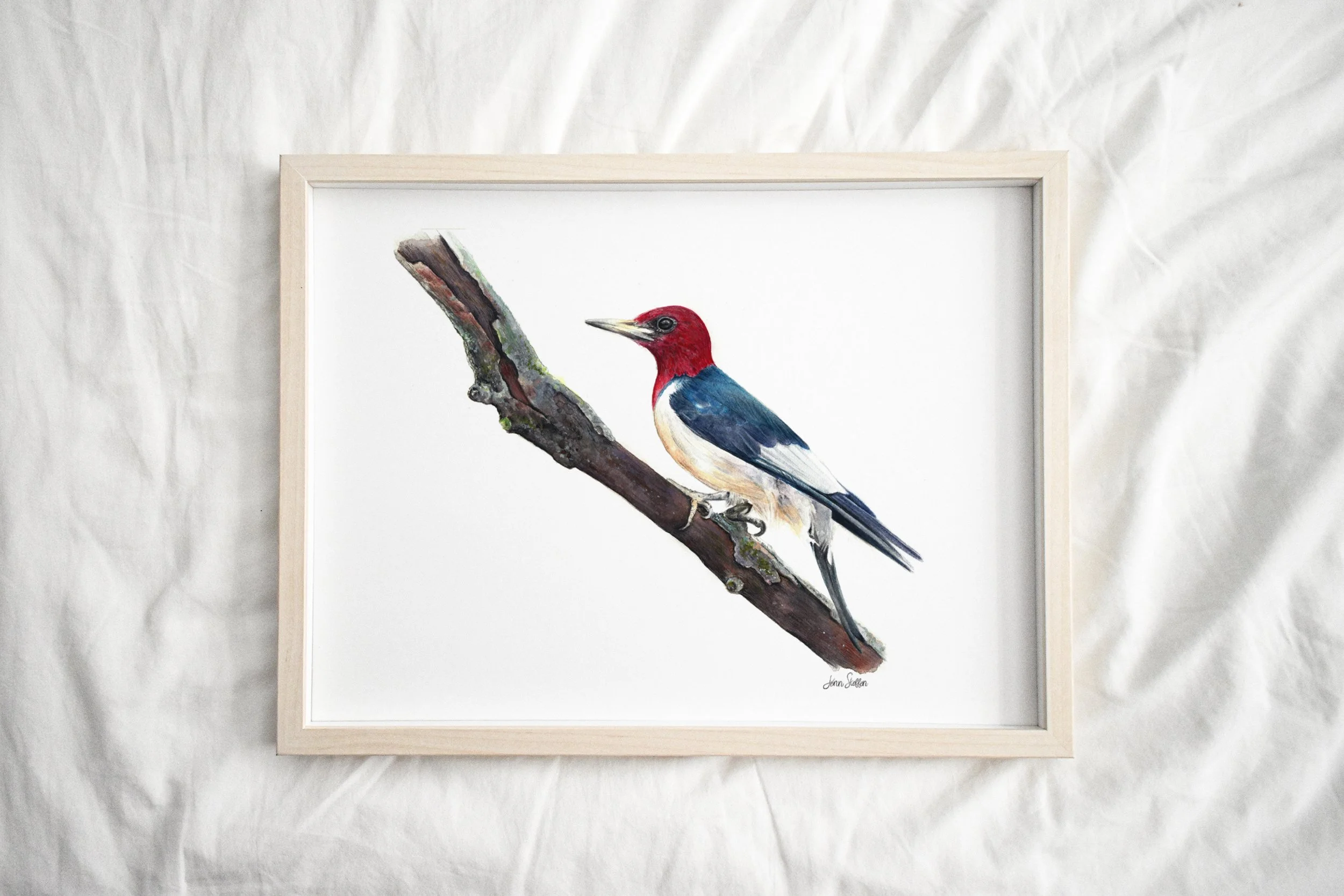 JennSteffenArt_RedHeadedWoodpecke_LightFrame.jpg