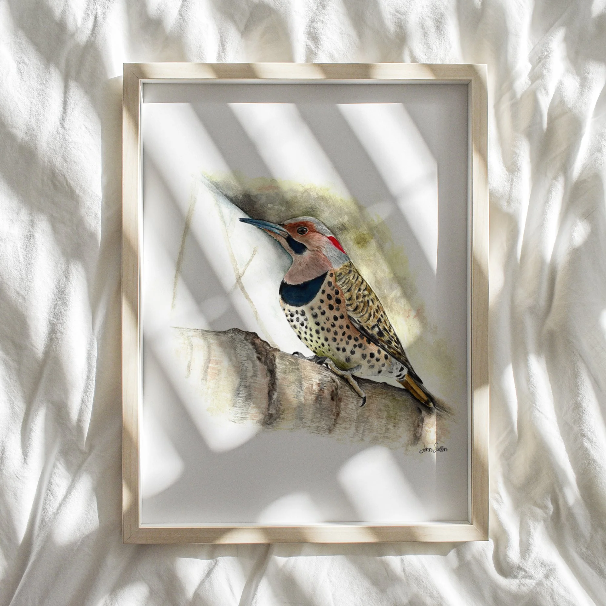 WebsiteMockup-2NorthernFlicker_JennSteffenArt.jpg