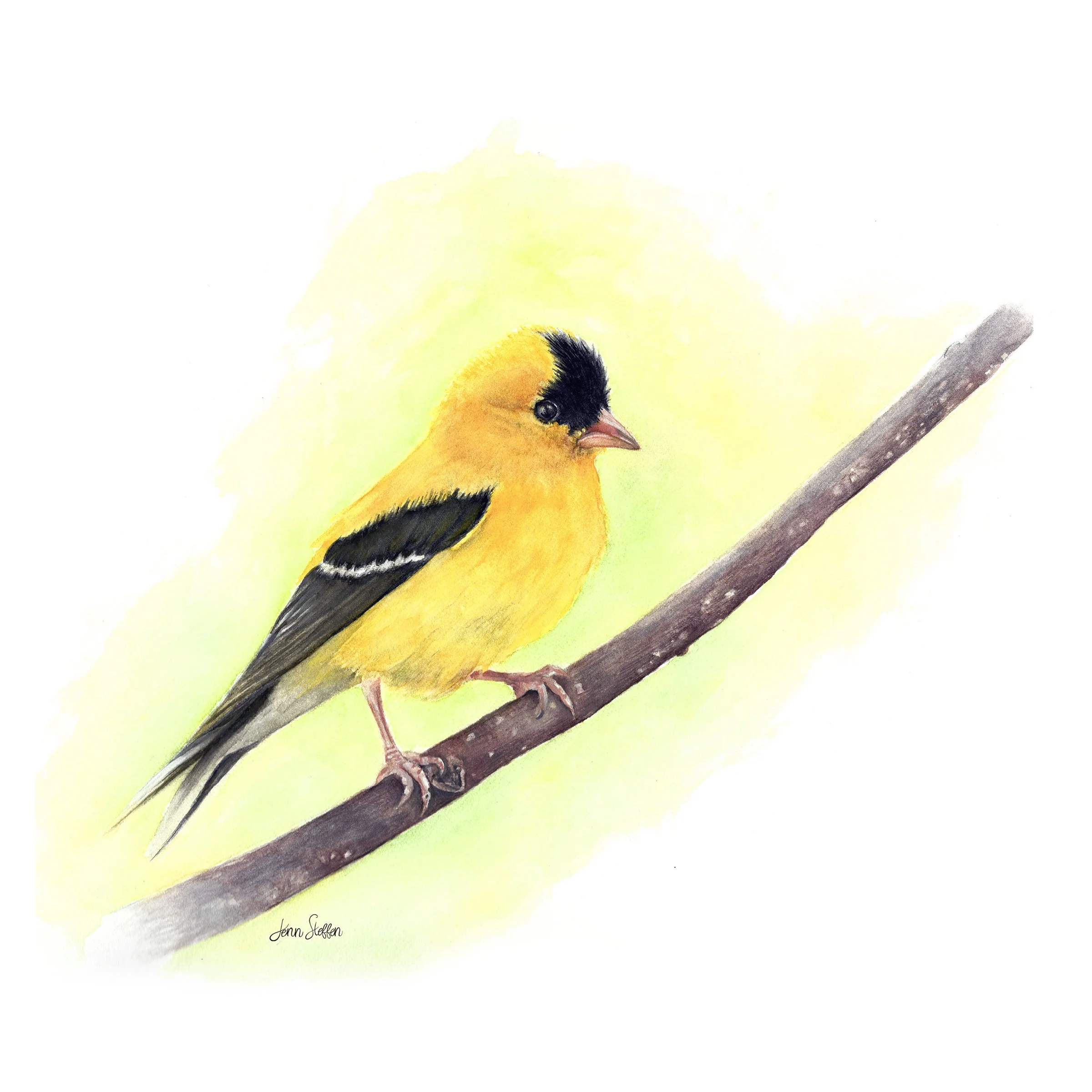 Goldfinch_JennSteffenArt©.jpg