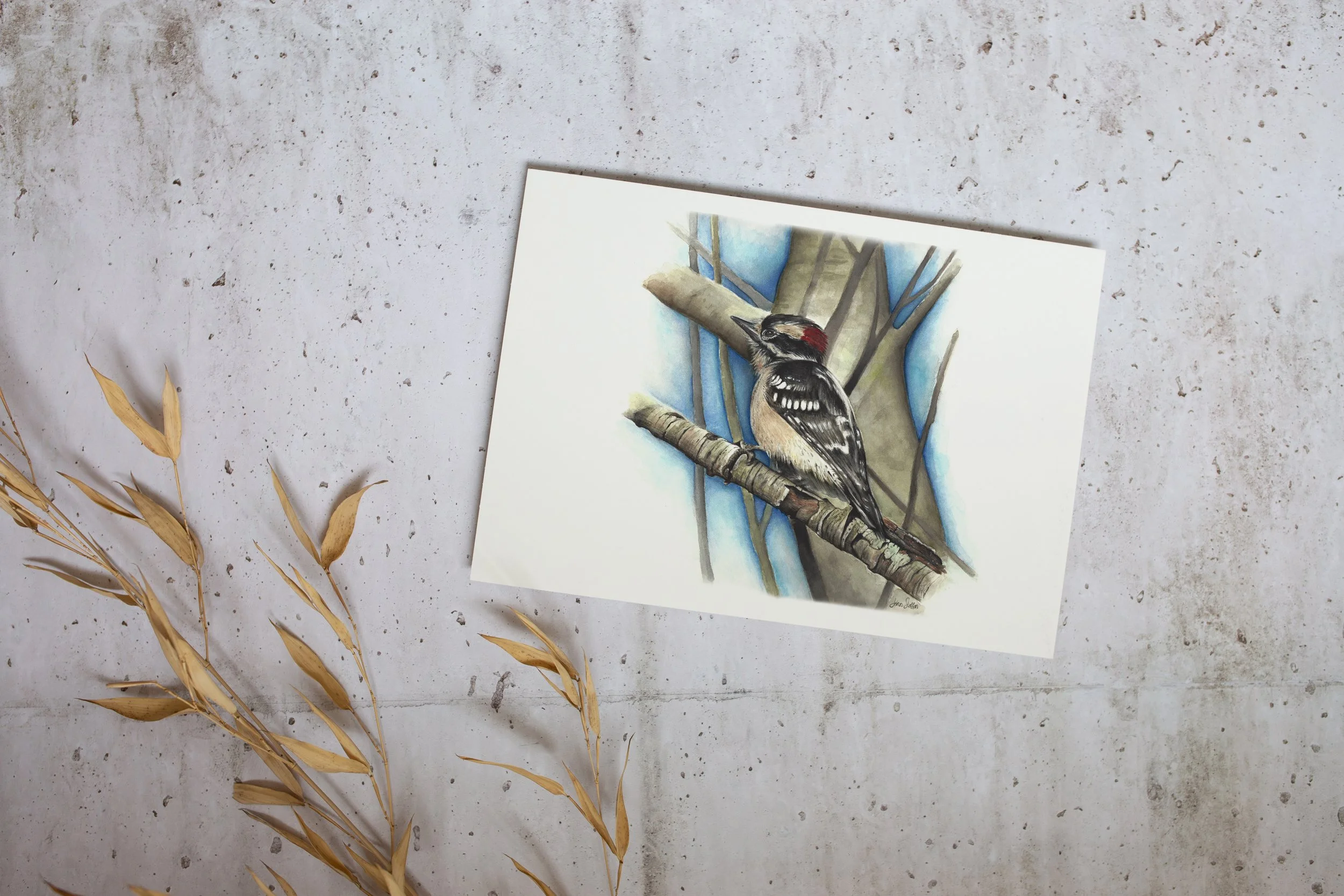 JennSteffenArt_RedBreastedNuthatch_Mockup_unframed_print.jpg
