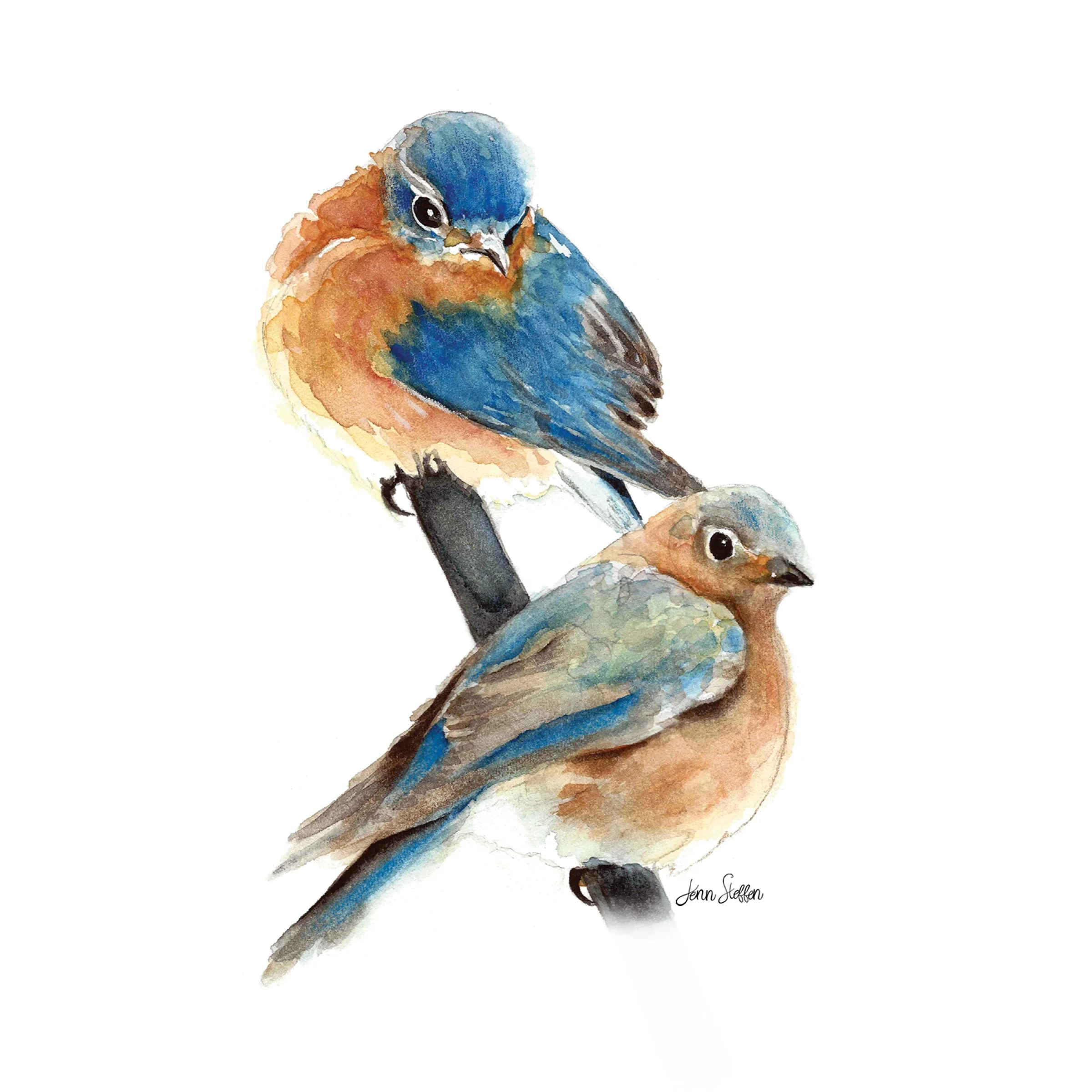 Bluebird_Couple–JennSteffenArt ©.jpg