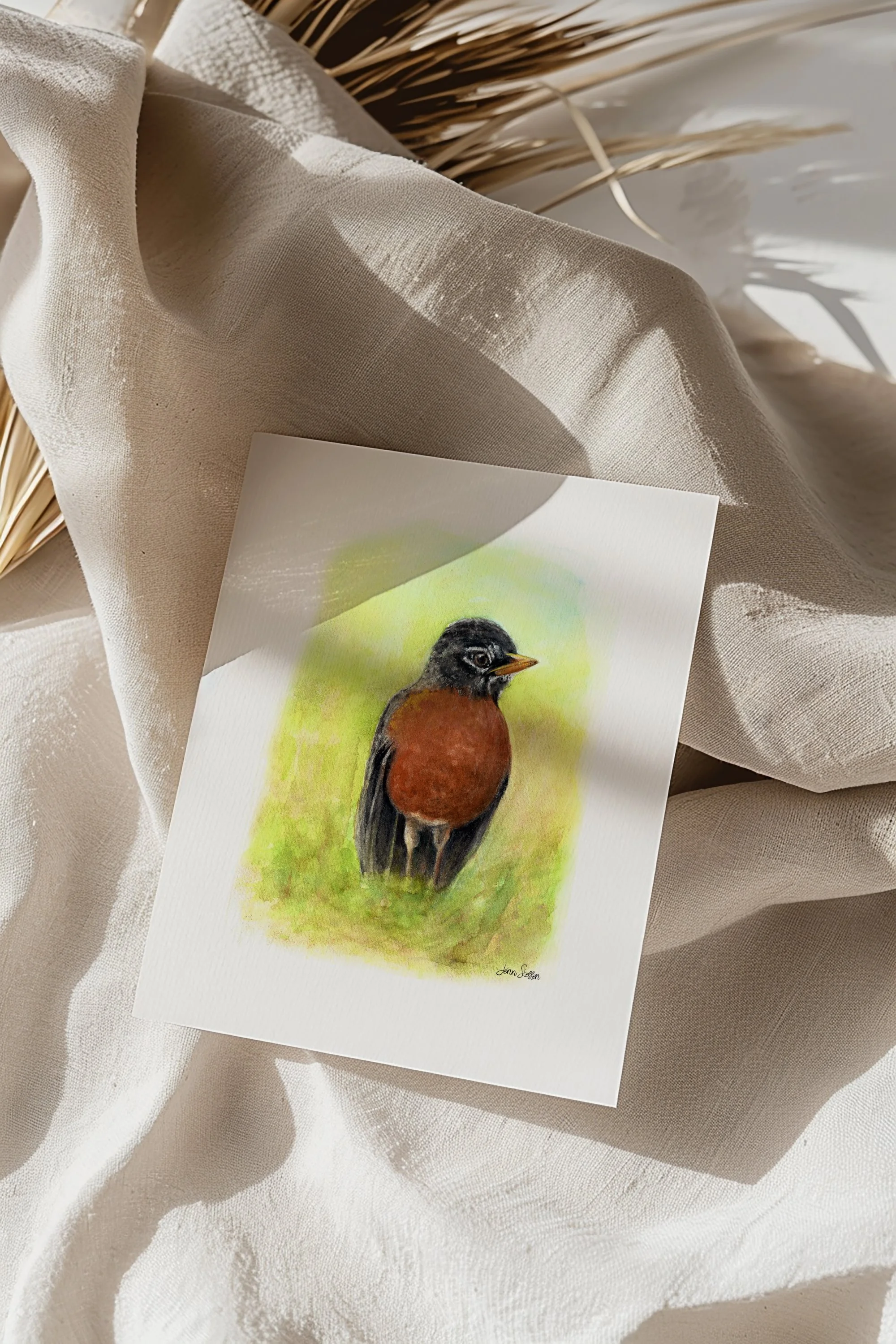American Robin III – Unframed Art Print