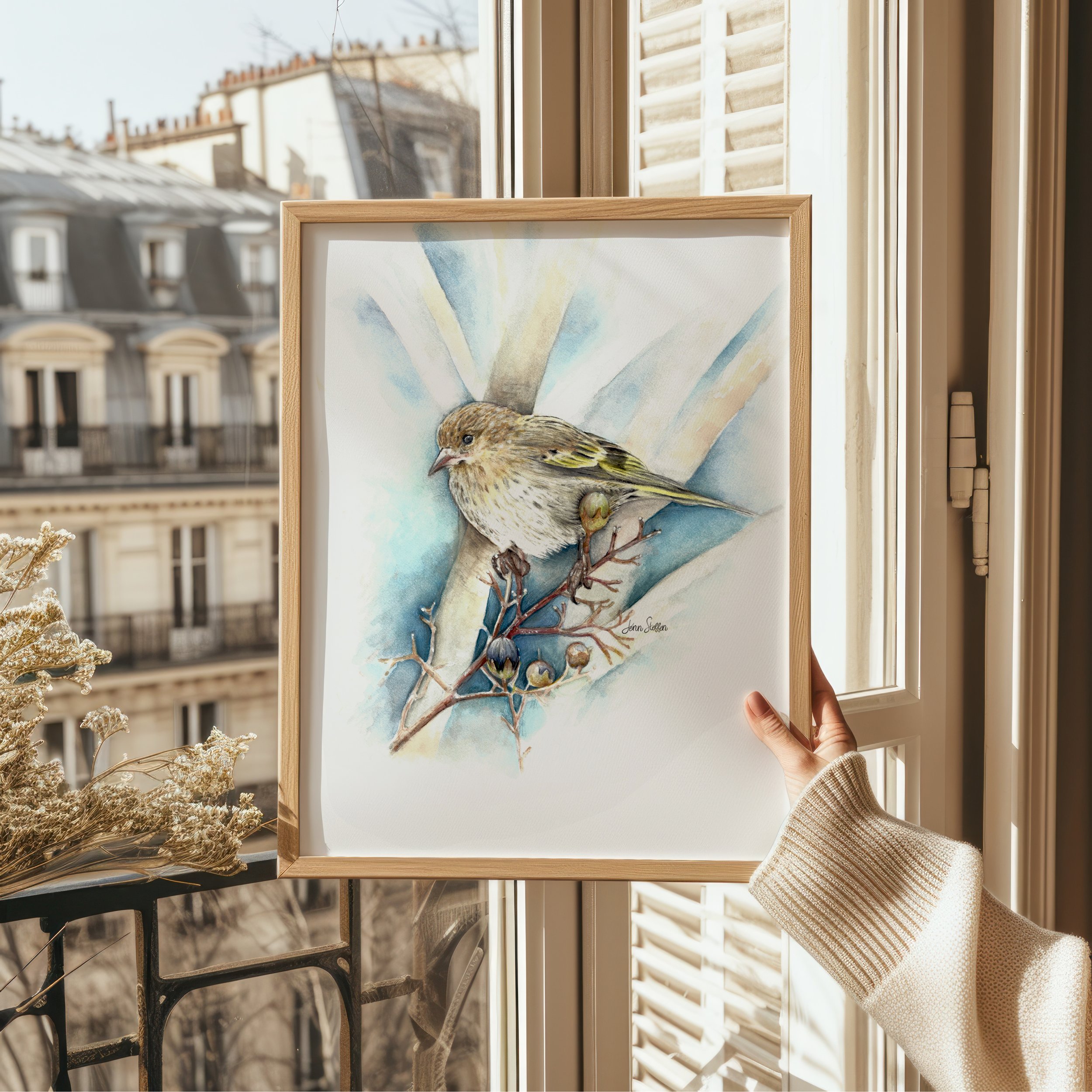 JennSteffenArt_PineSiskin-Frame.jpg