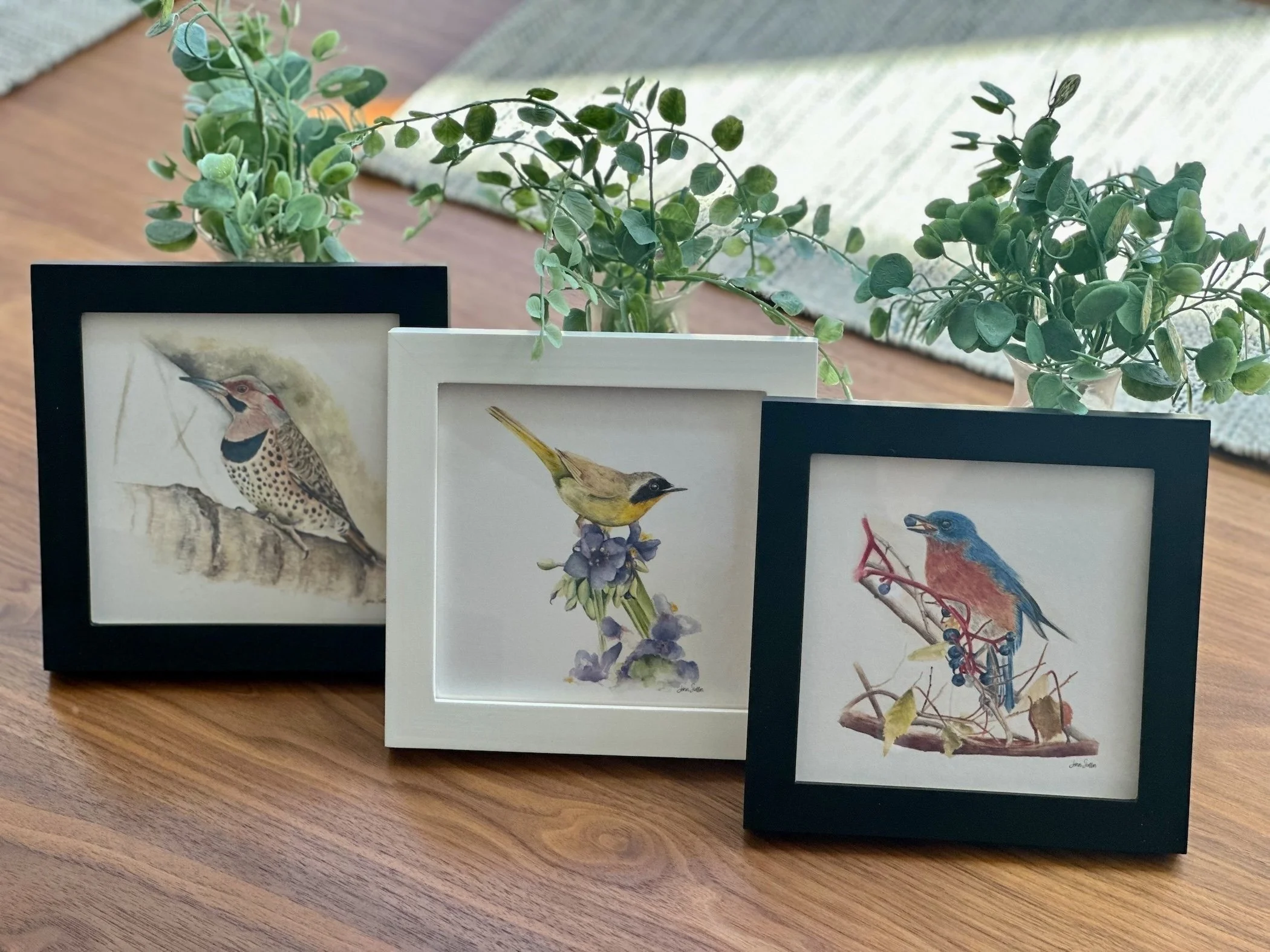 Small Framed Bird Art Prints from Jenn Steffen Art