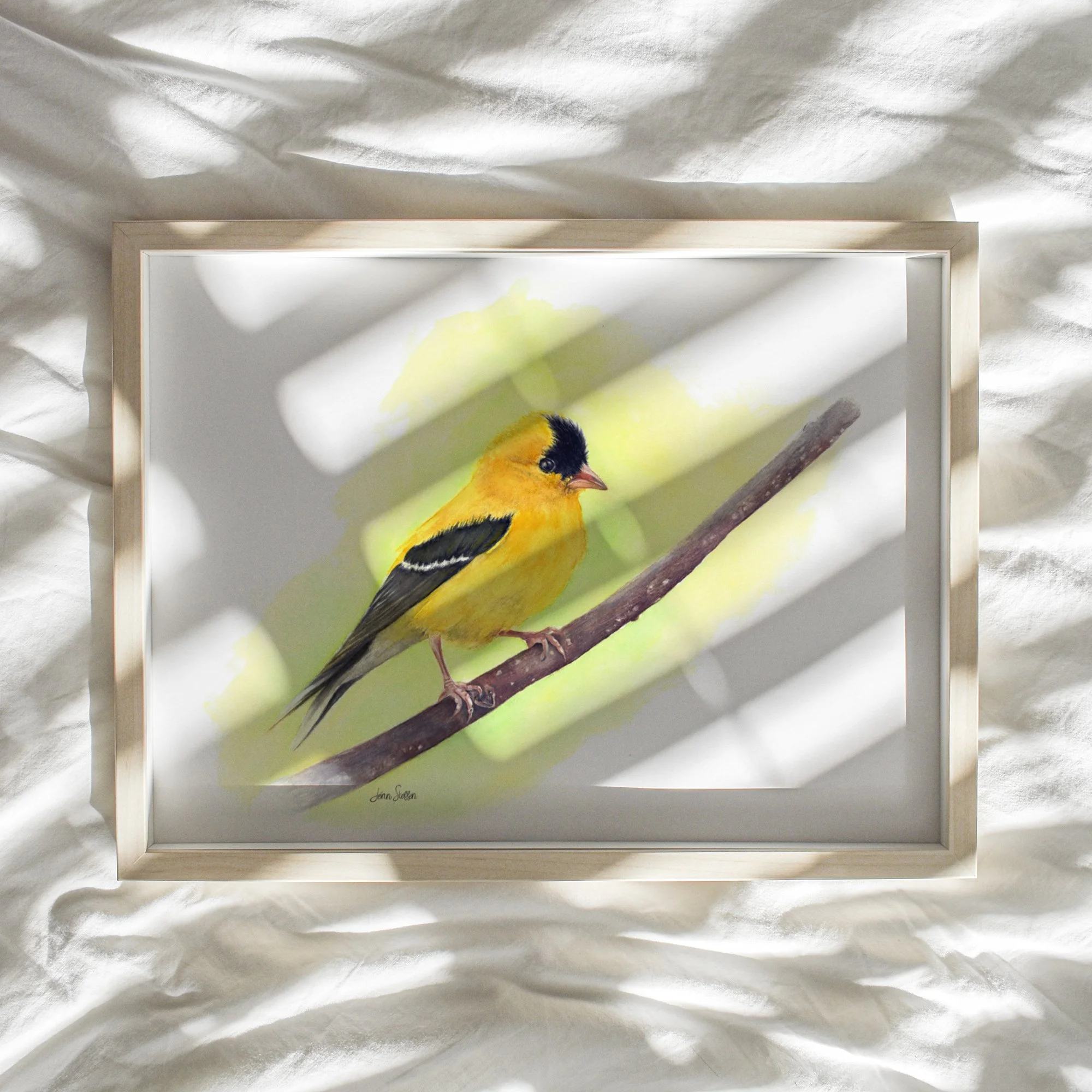 WebsiteMockup-AmericanGoldfinchWatercolor2_OnBranchWatercolorLeftRight_JennSteffenArt.jpg