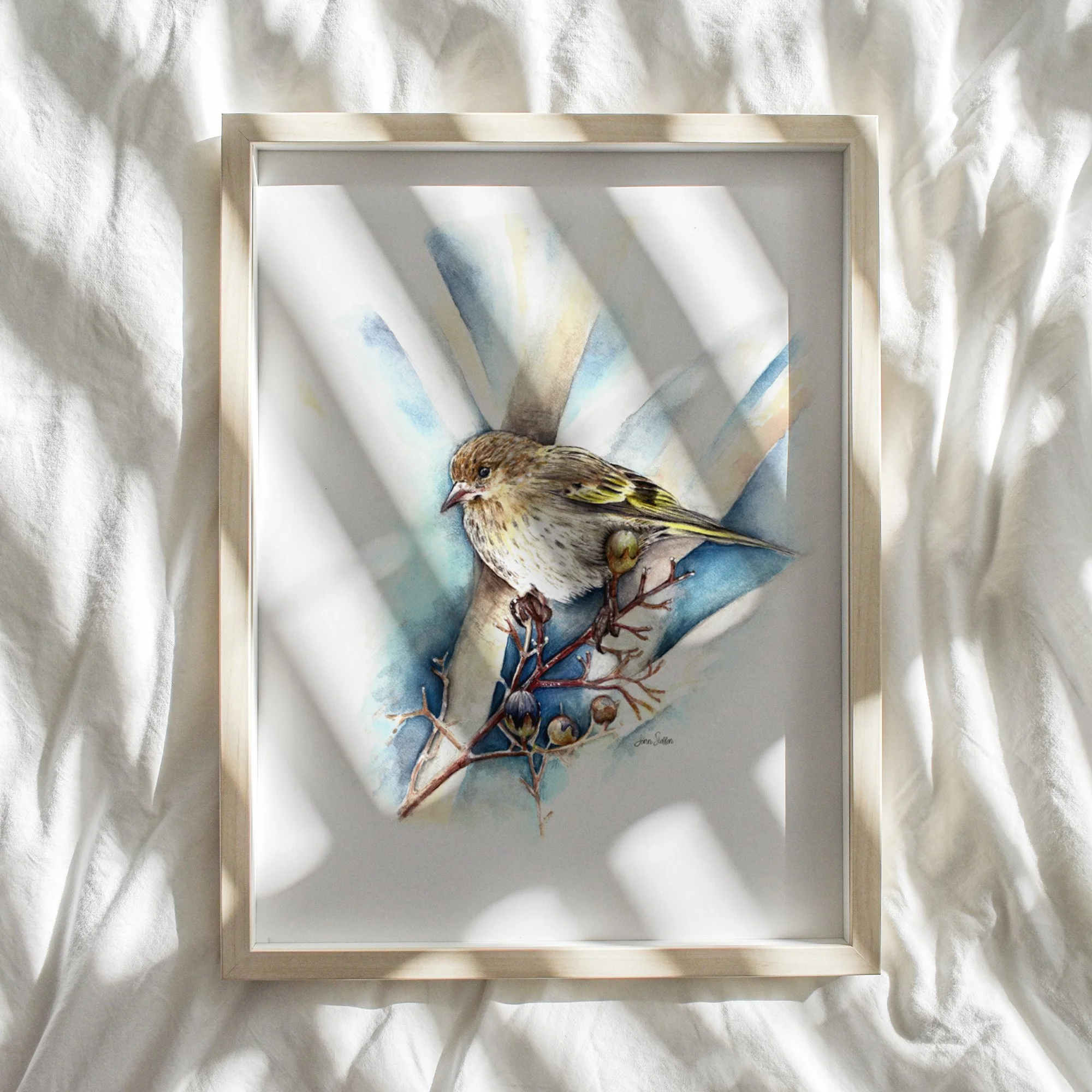 JennSteffenArt_PineSiskin_WebsiteMockup-2.jpg