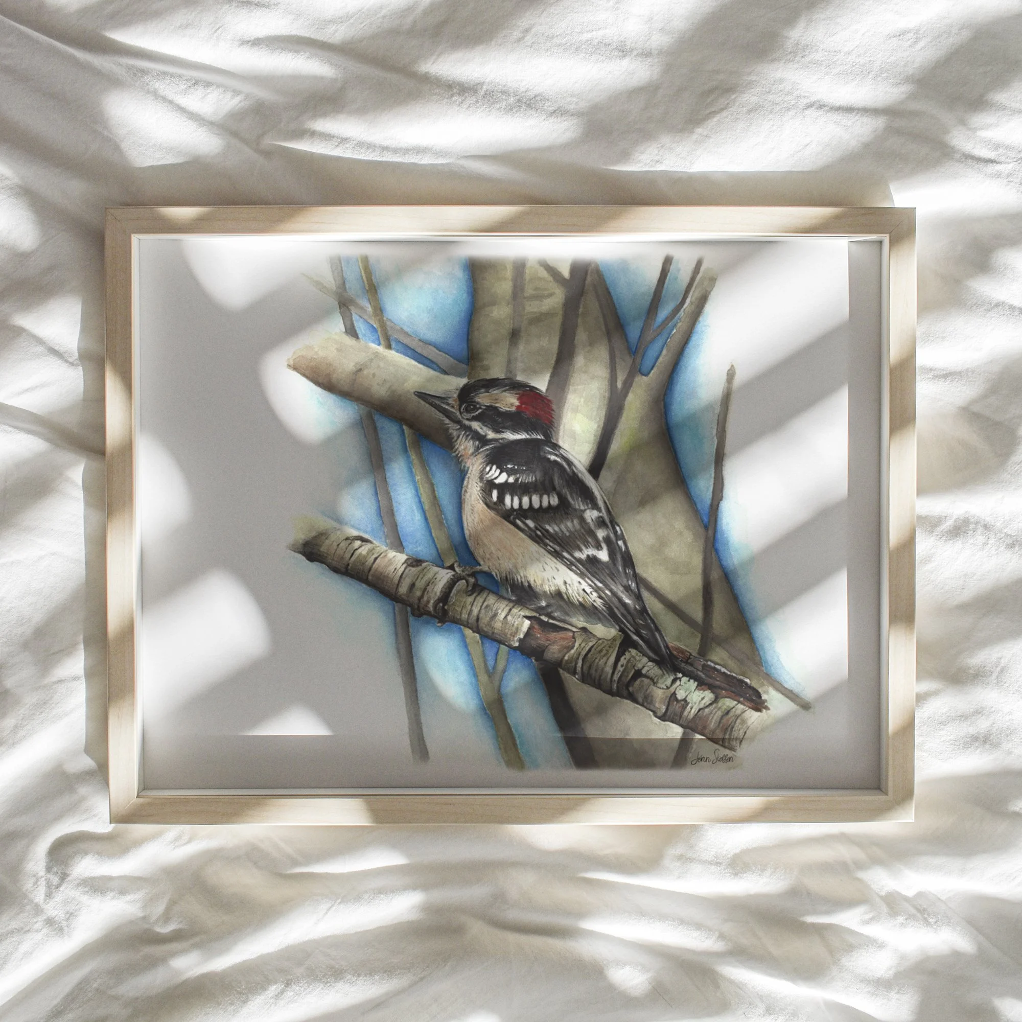 JennSteffenArt_WebsiteMockup-DownyWoodpecker_Watercolor.jpg