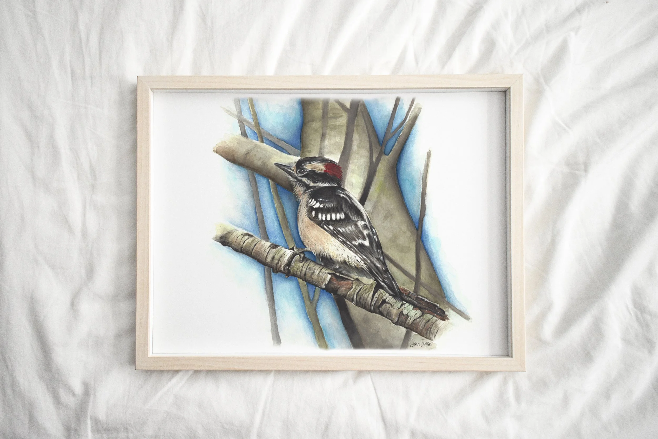 JennSteffenArt_DownyWoodpecker_LightFrame.jpg