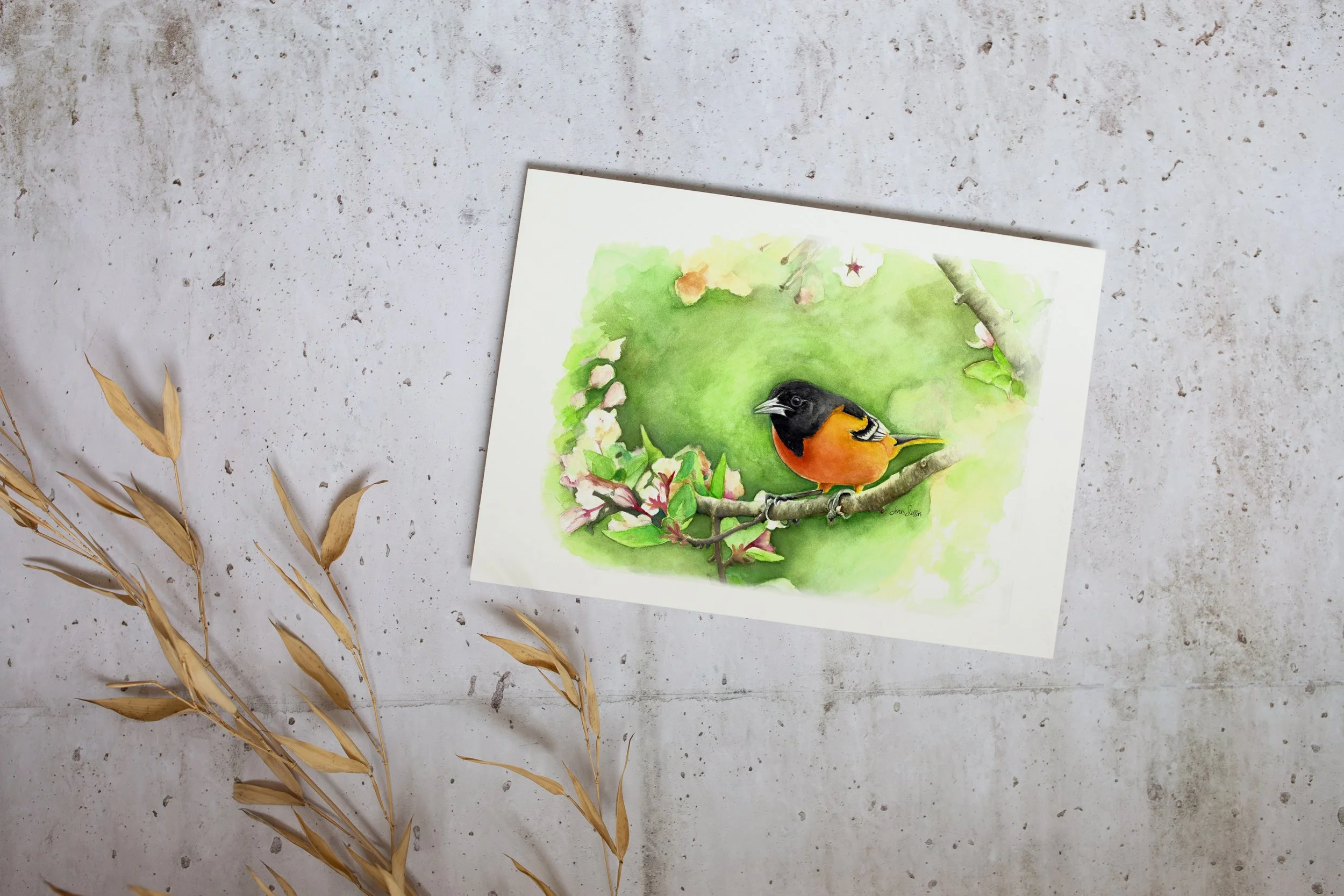 BaltimoreOriole_Mockup_unframed_print.jpg