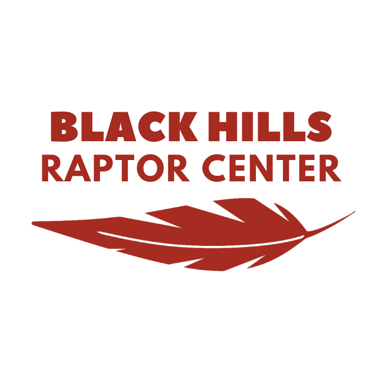Black Hills Raptor Center