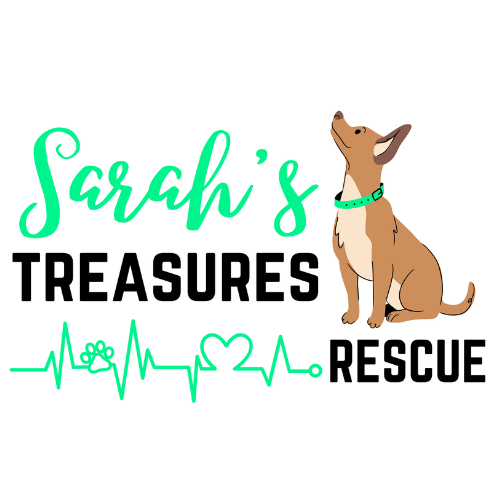 Sarah's Treasures Rescue