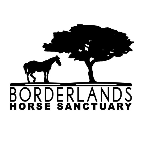 Borderlands Horse Sanctuary