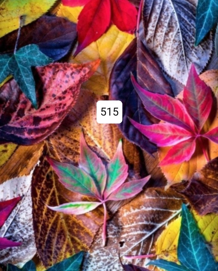 processed_bdaf56599a9f42068bc8b7ead8cb38b9.jpeg