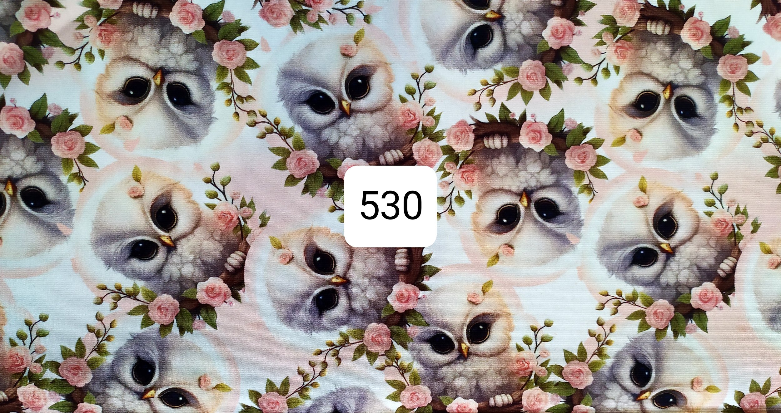 processed_49d4c06bd4fb425a8383f62550b120c2.jpeg