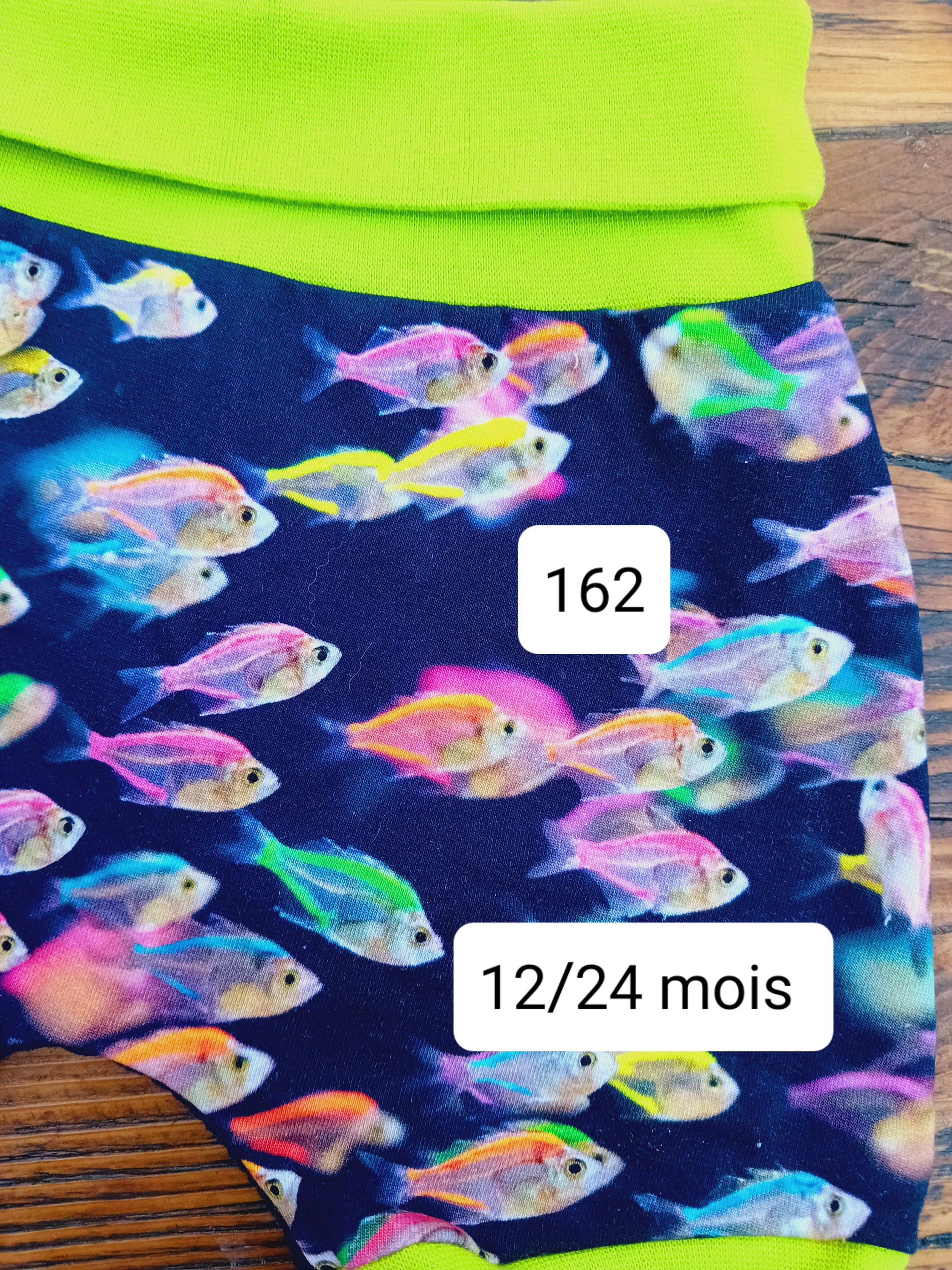 1000009524.jpg