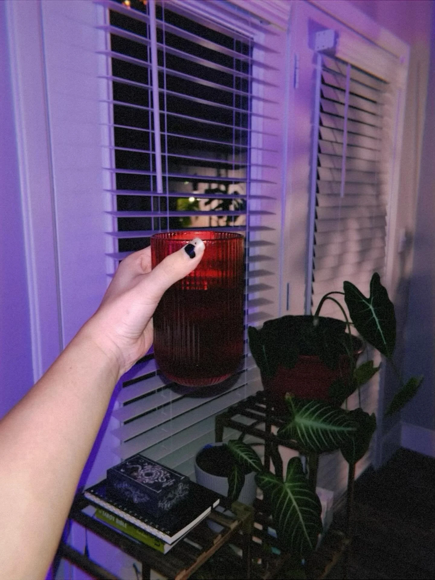 Cinnamon tea, set out crystals and altar broom, tarot reading and all the beauty the moon whispers into the evening 🌝🕯️🖤 

How beautiful it is to exist and hold emotions, to deeply care and sweetly nurture. How soft it is to be weathered down and 