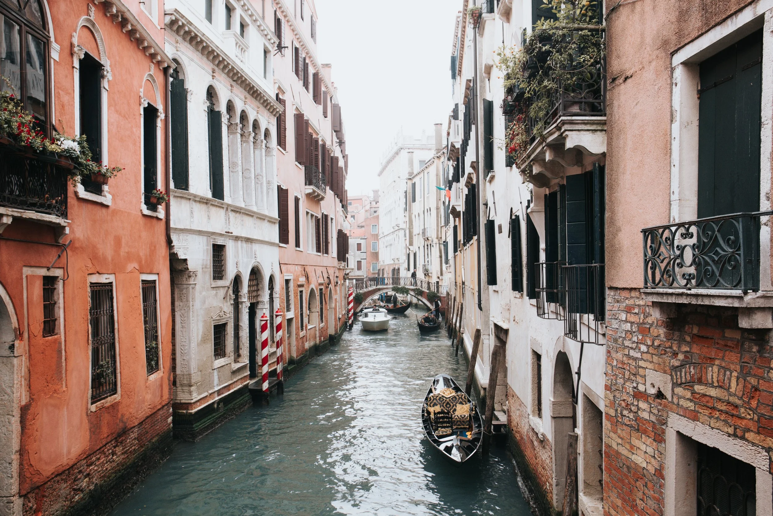 alisa-anton-jCSjOKNJkU4-unsplash.jpg