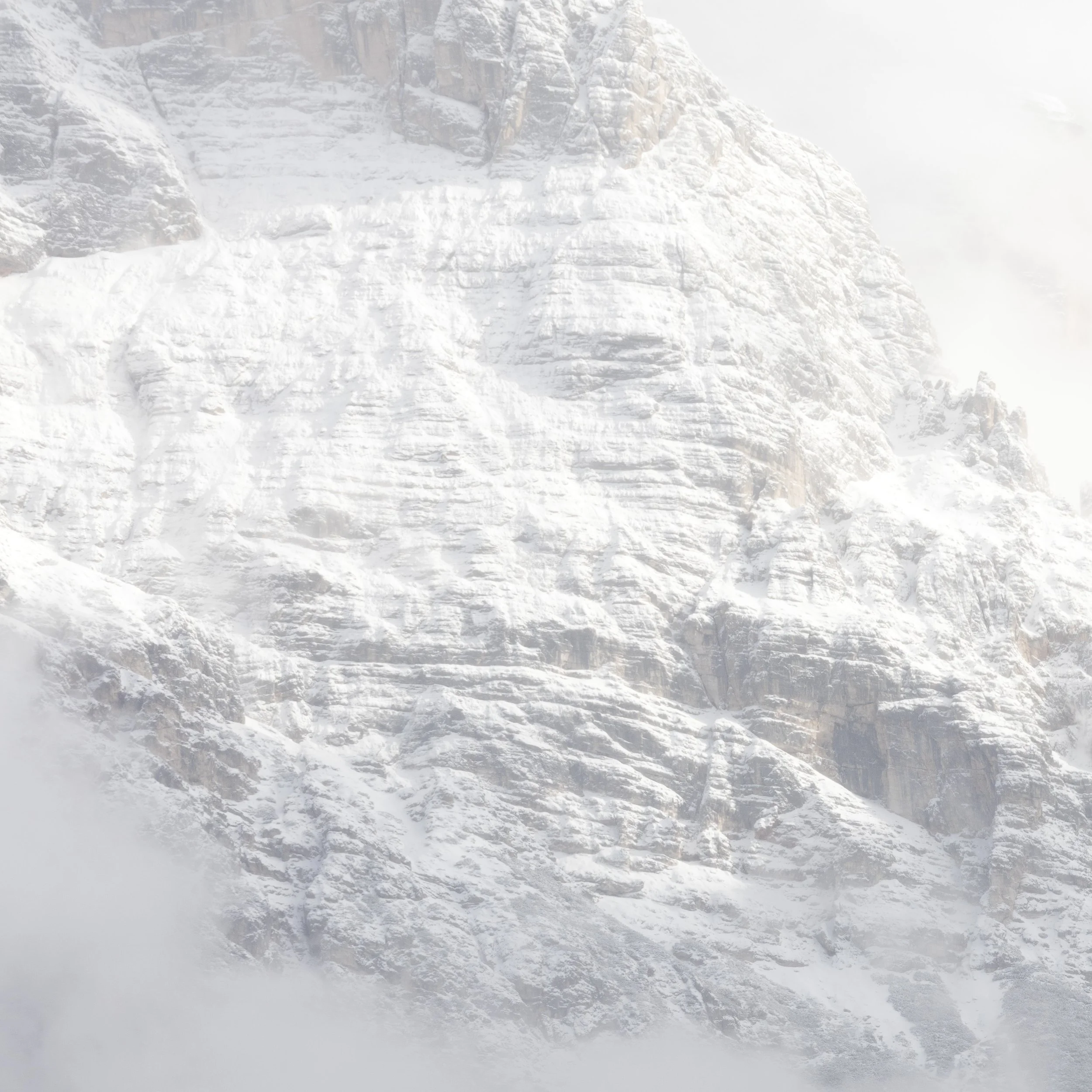 faloria_2380 F_N.jpg