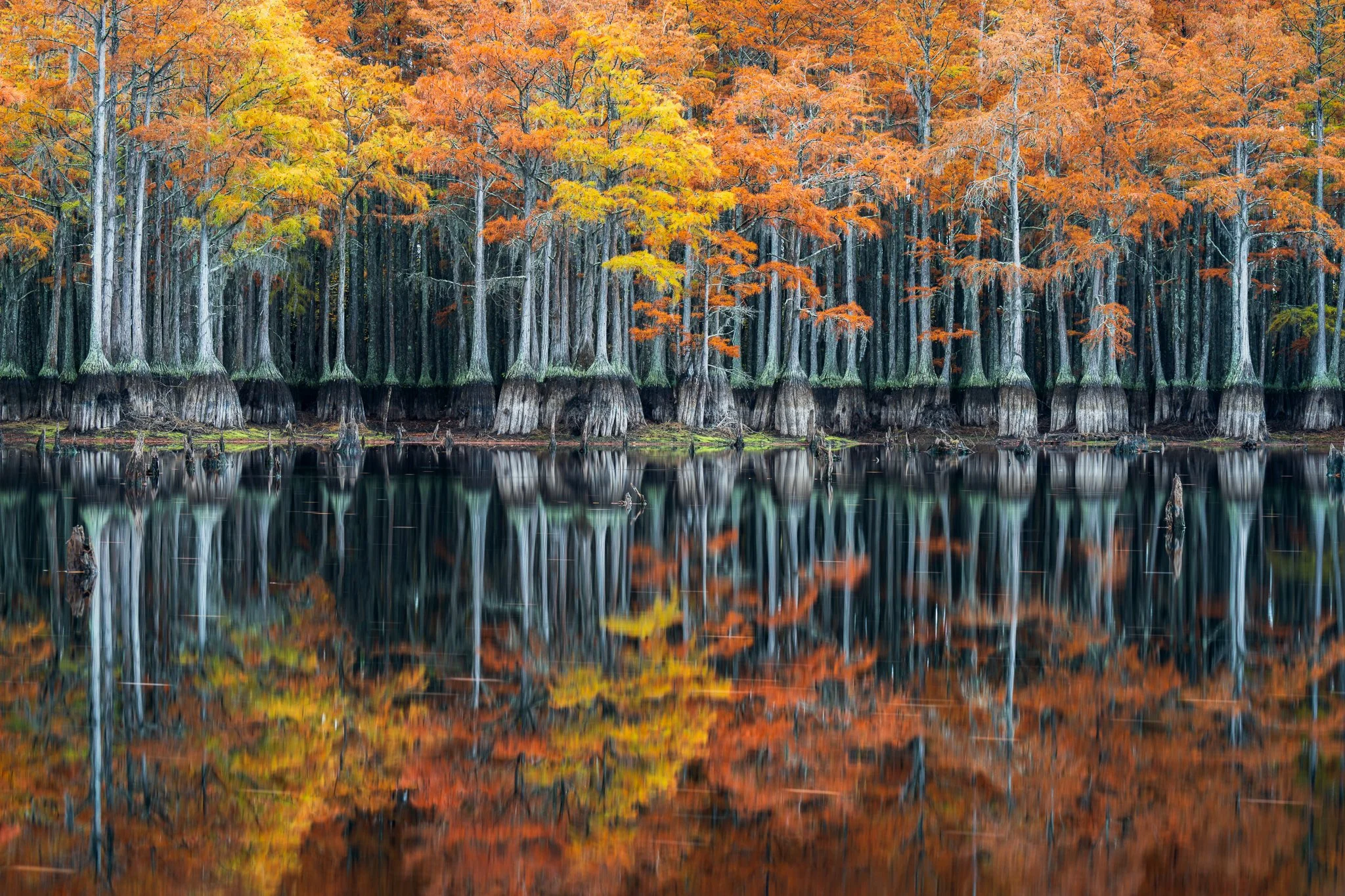 Fall Reflections.jpg