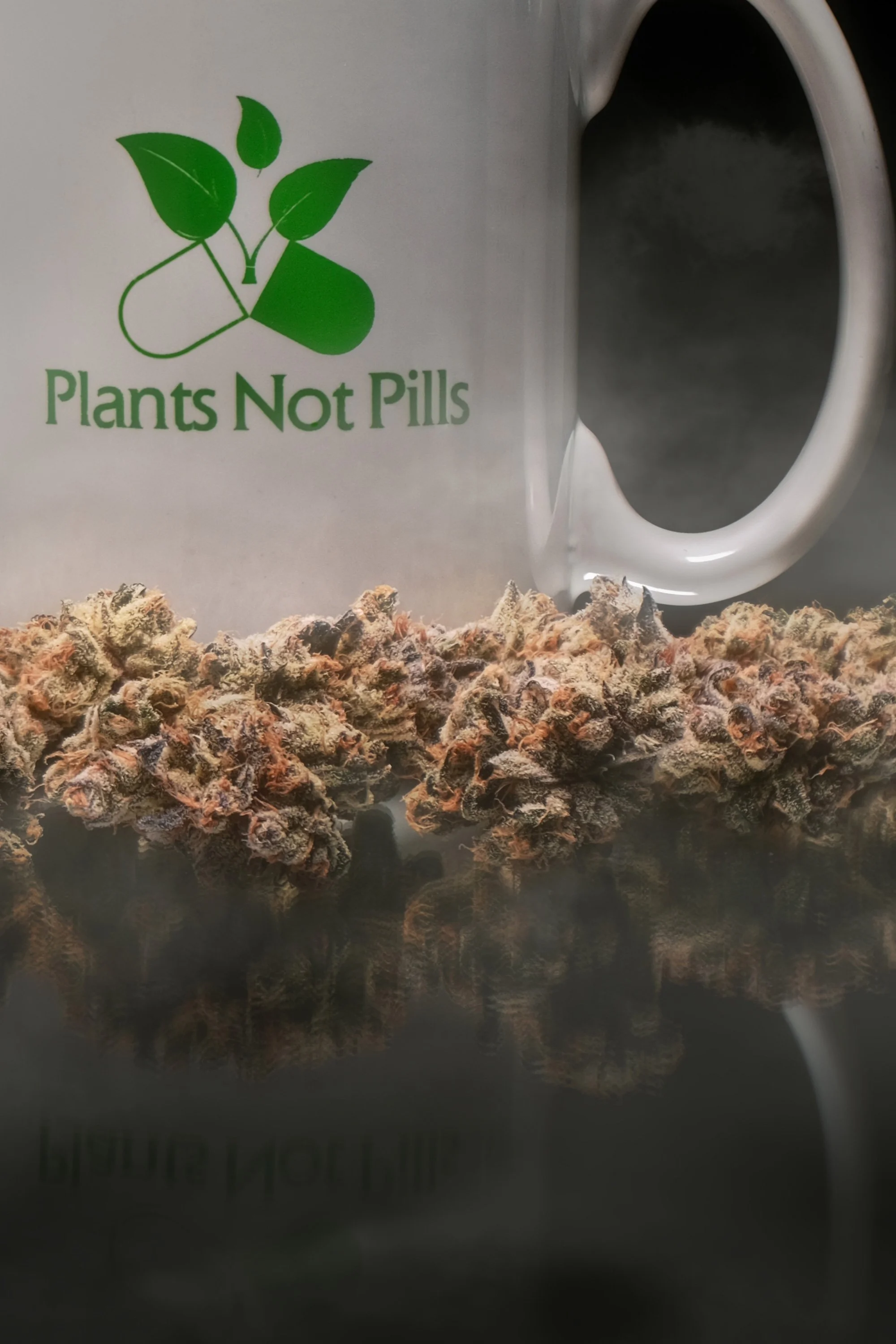 plants-not-pills-display-3.jpg