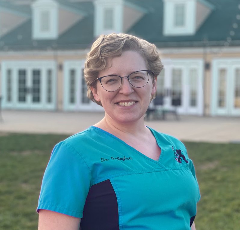Dr. Gallagher Bio — Vets to Pets