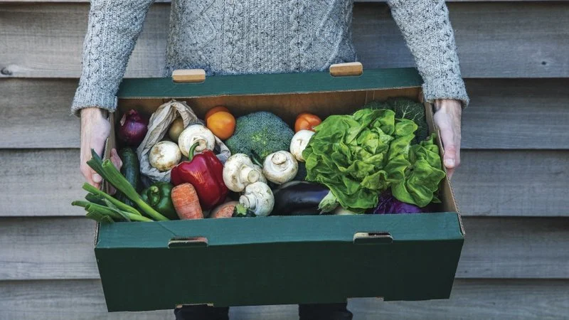 Immunity, Aging and Metabolic Health