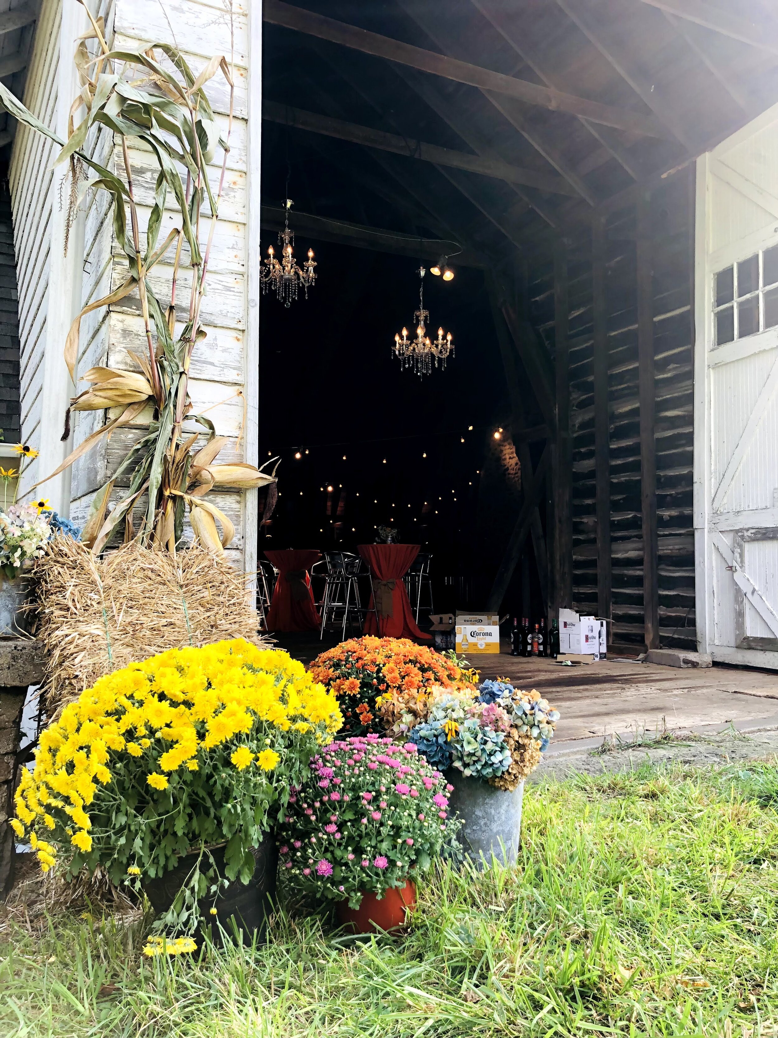 Barn 1.jpg