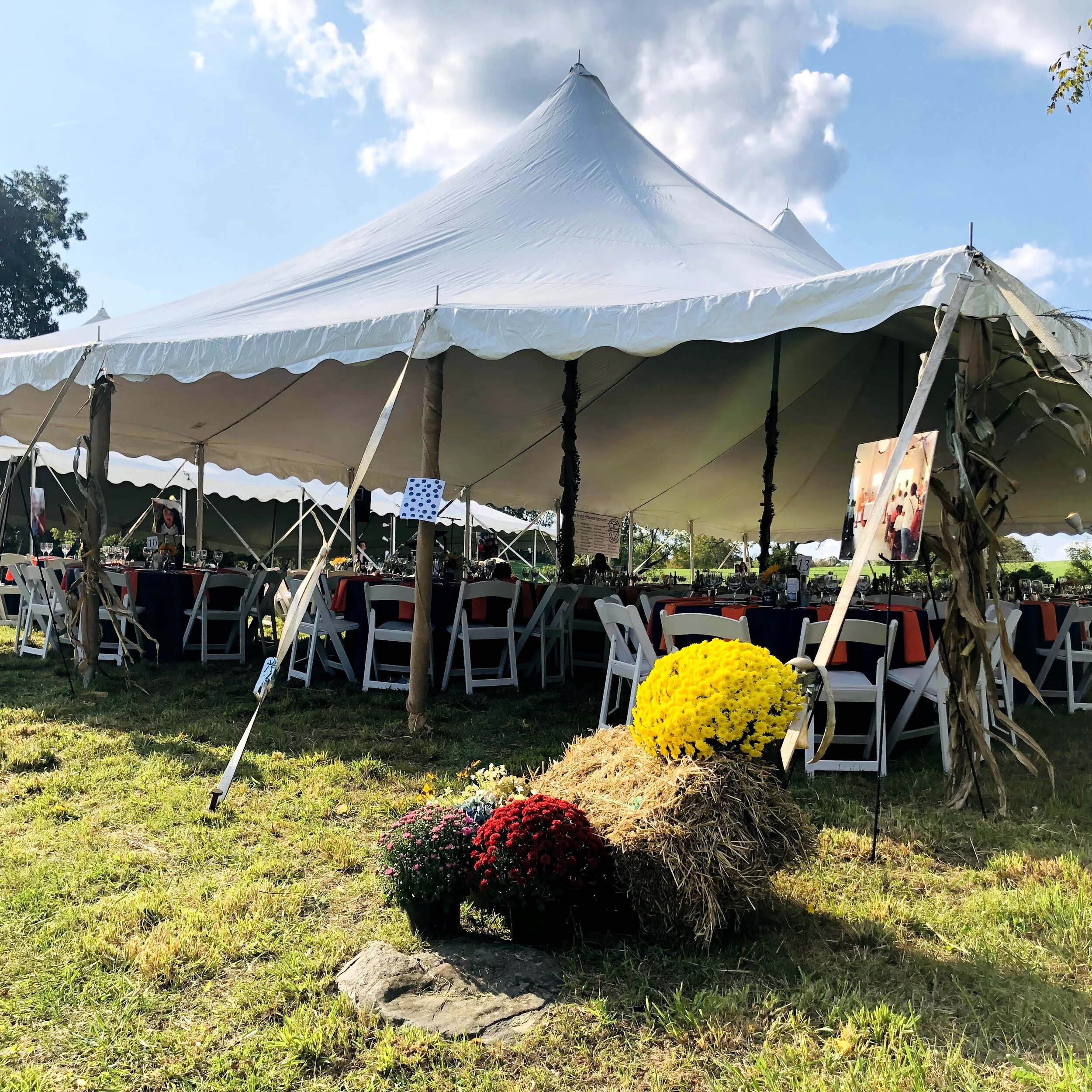 Tents 2.jpg