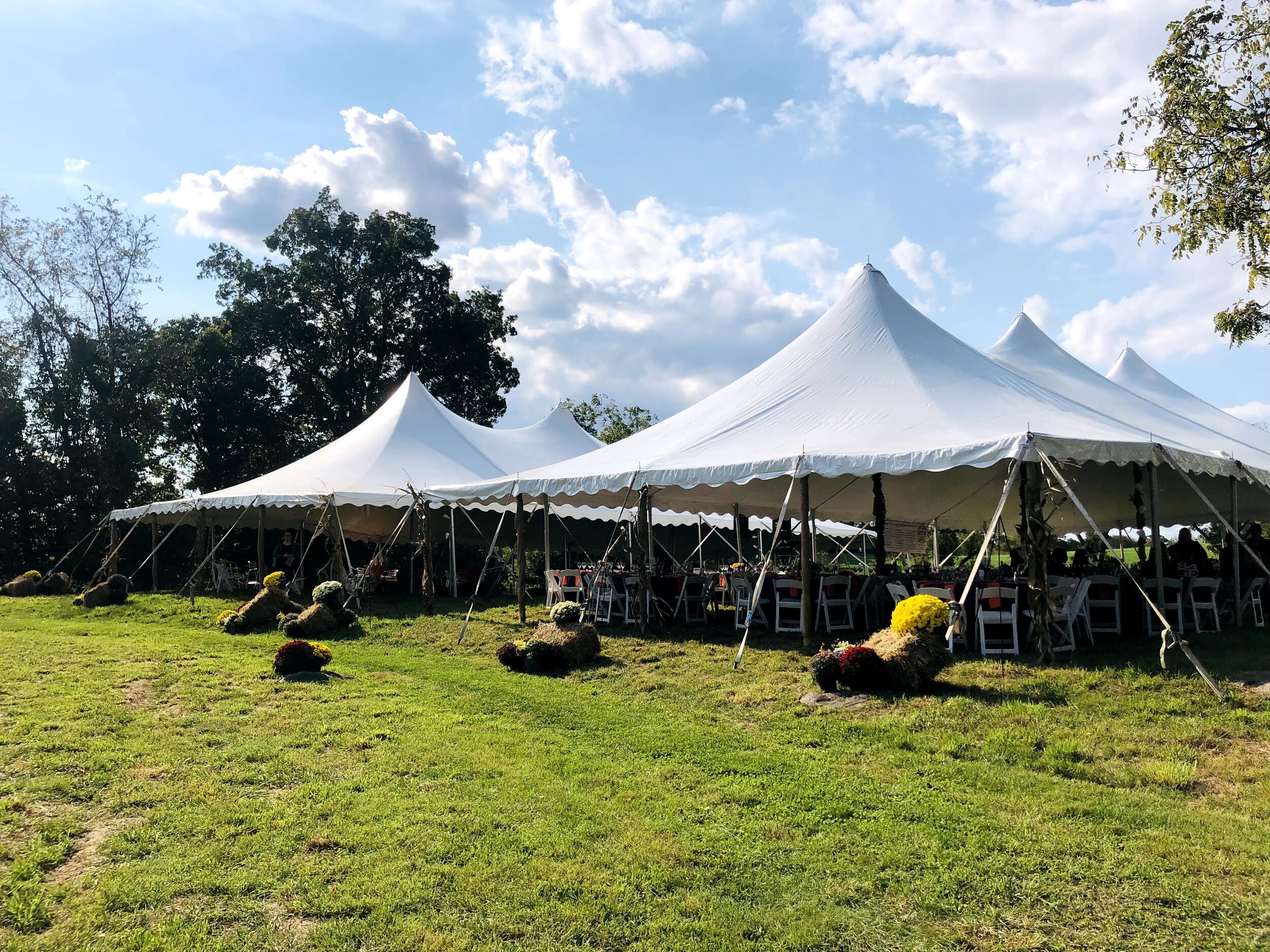 Tents 1.jpg