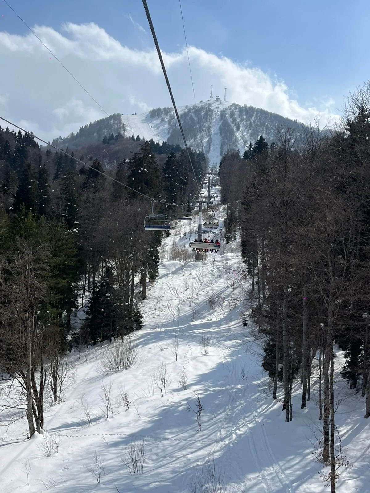 WhatsApp Image 2026-03-31 at 15.16.07.jpeg