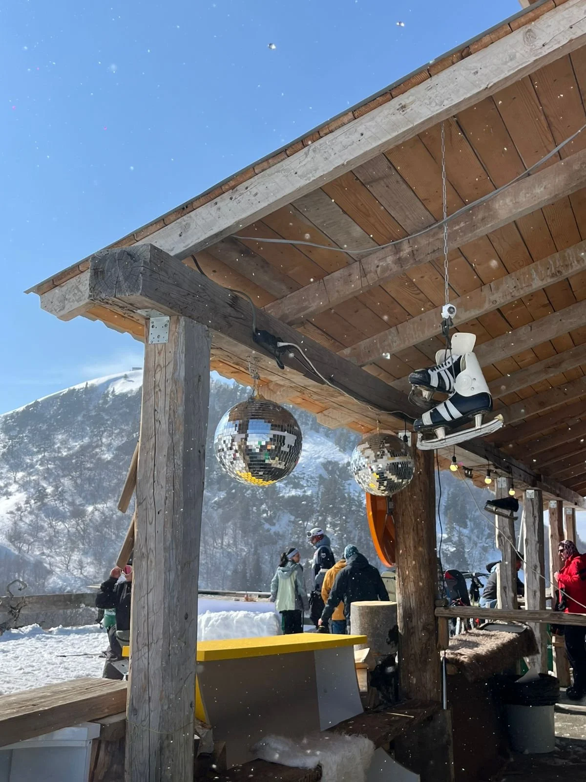 WhatsApp Image 2026-03-31 at 15.16.27.jpeg