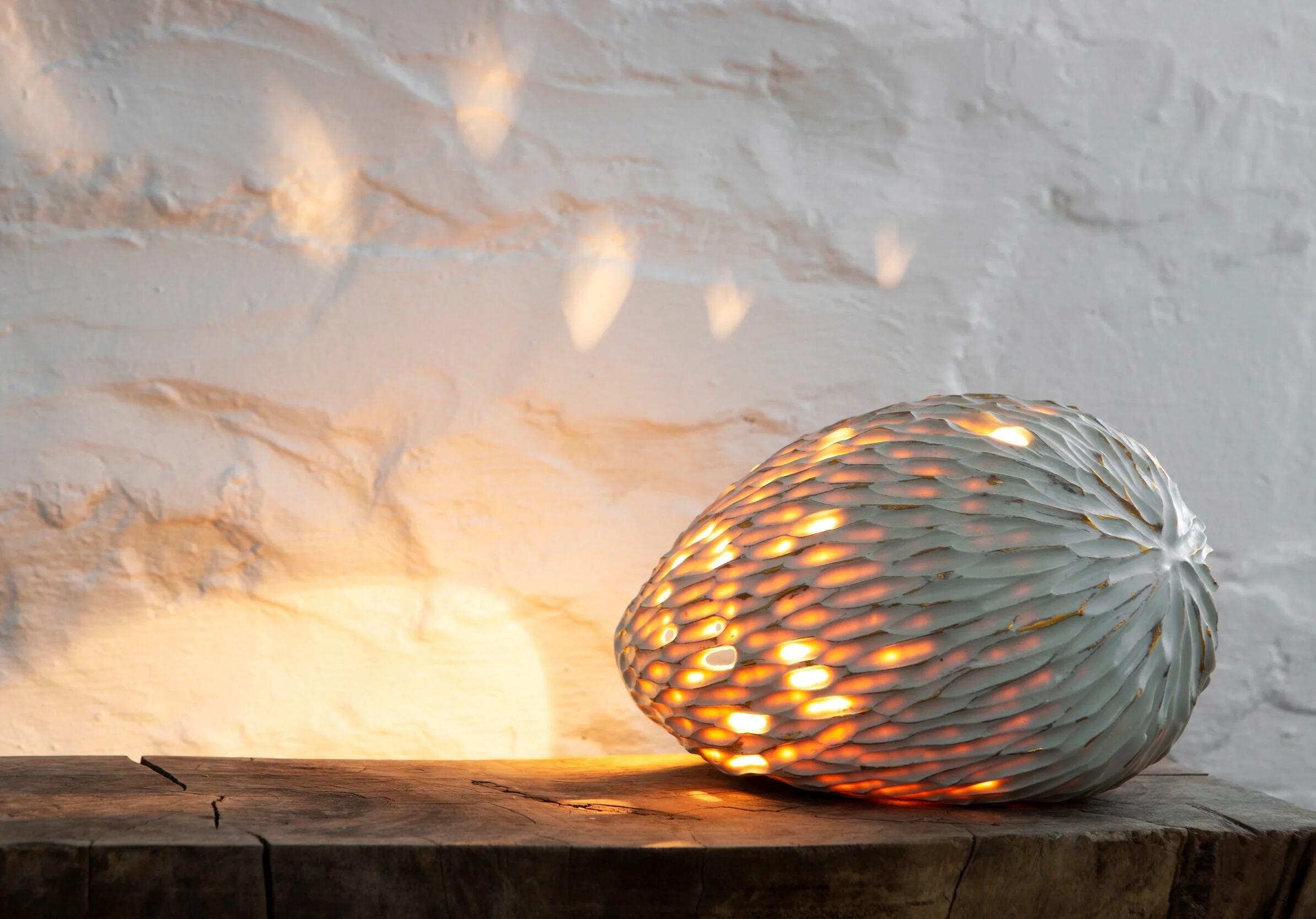 Seed Pod Table Lamp