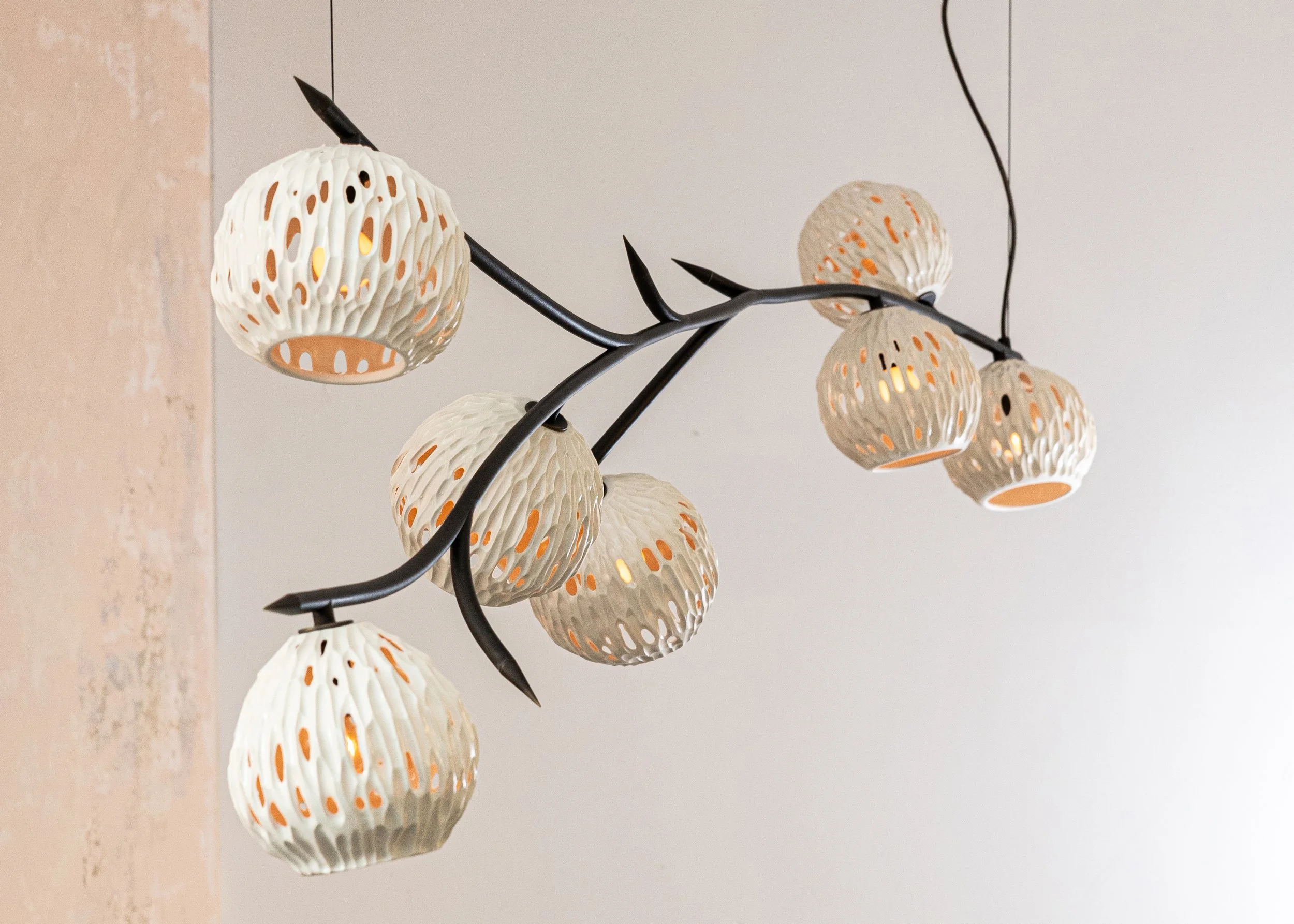 Lowland-Sycamore-priority 2 .jpg