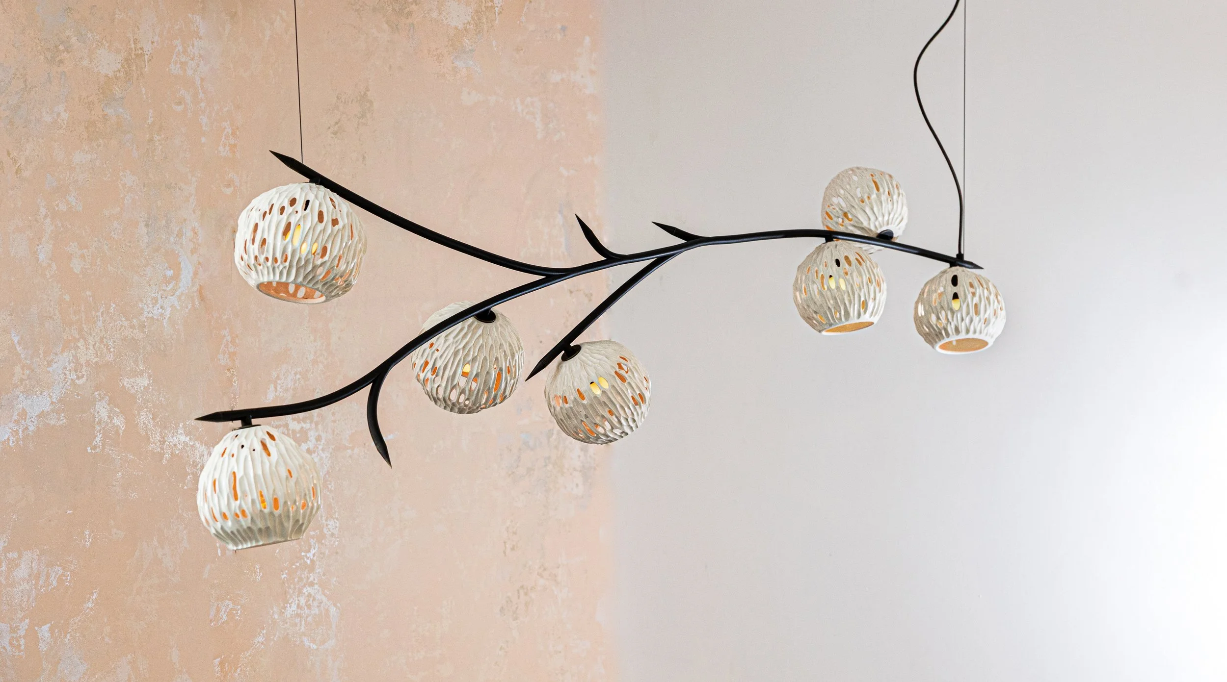 Lowland-Sycamore-priority 1 .jpg