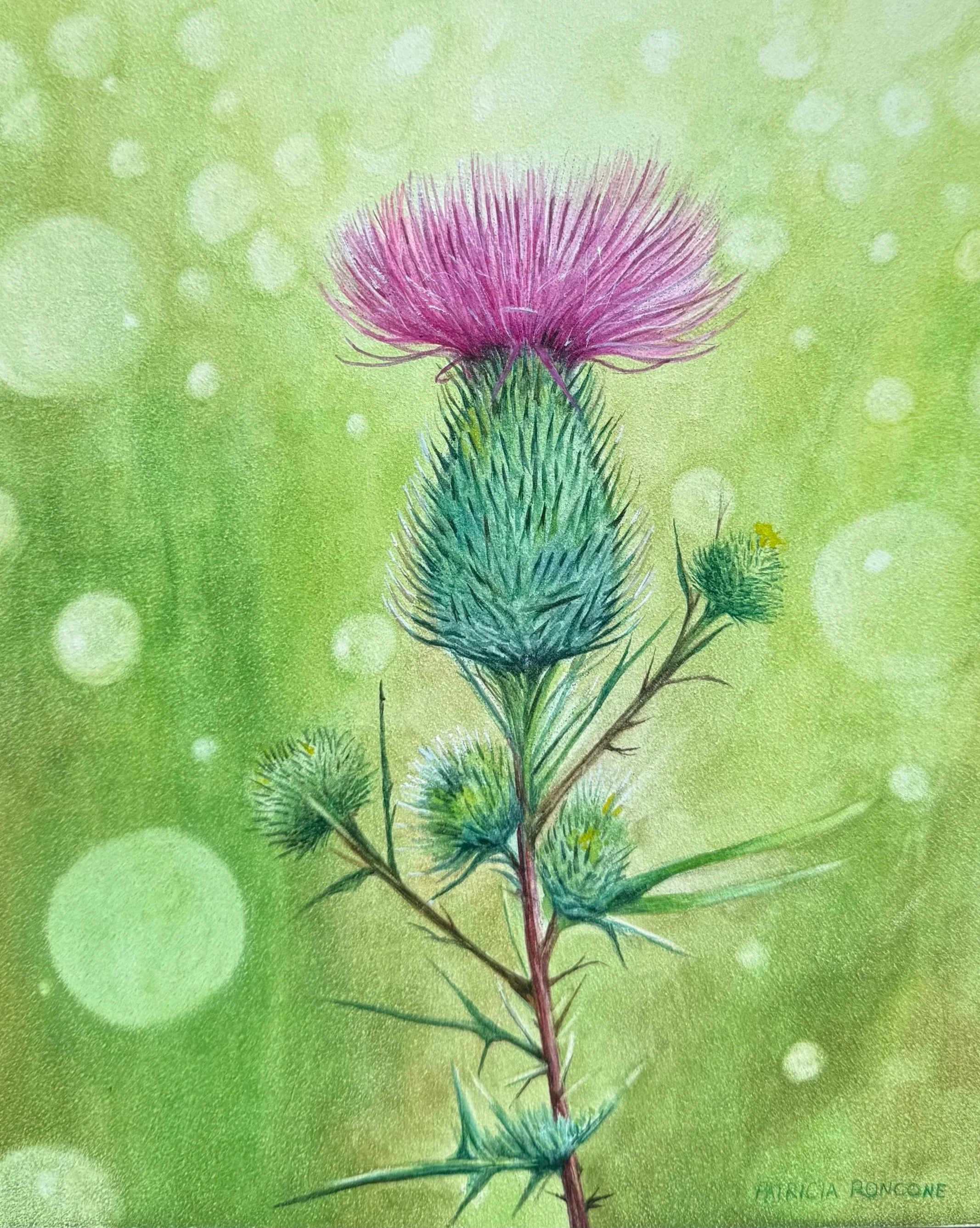 Strong+Little+Thistle.jpg