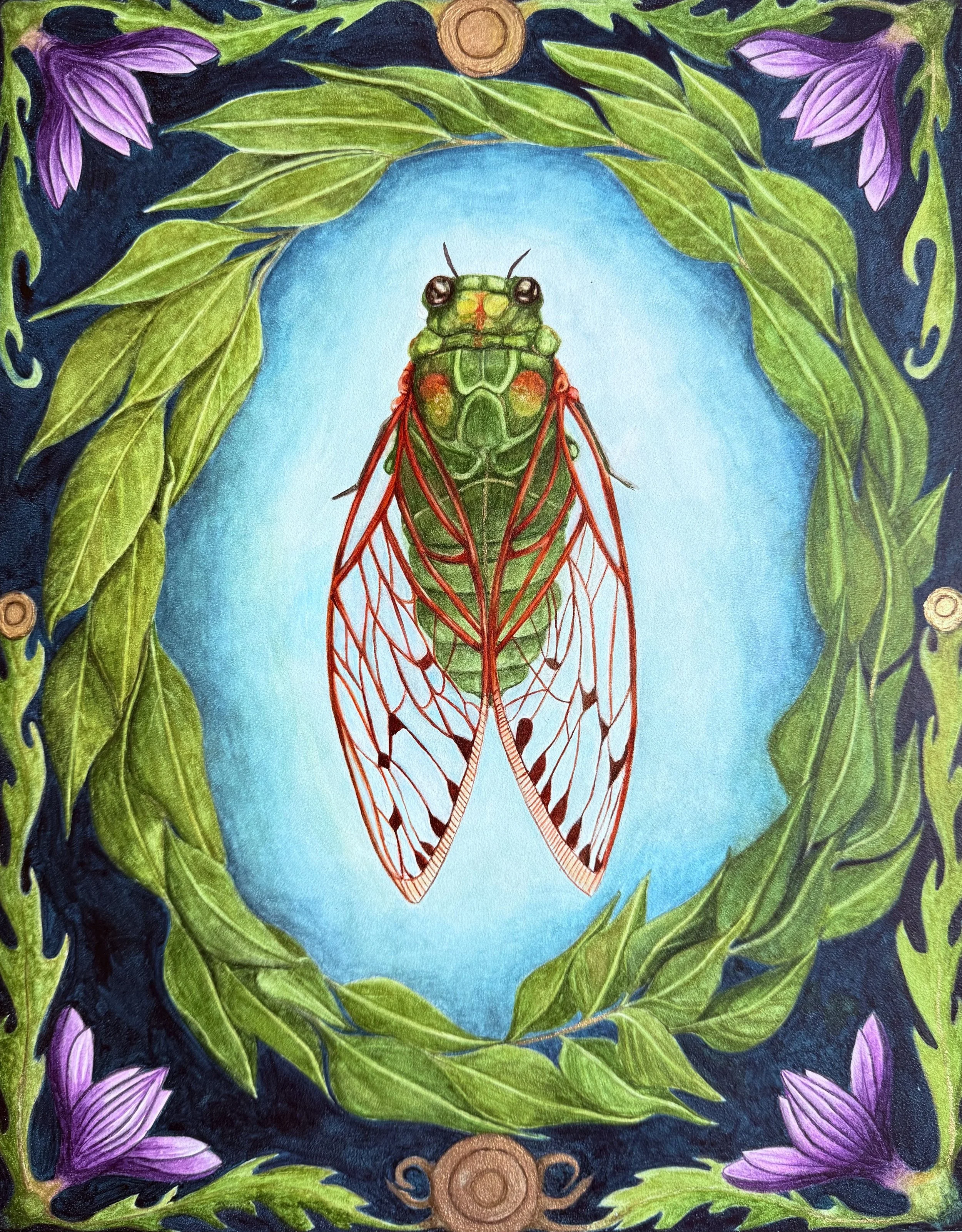 cicada.jpg