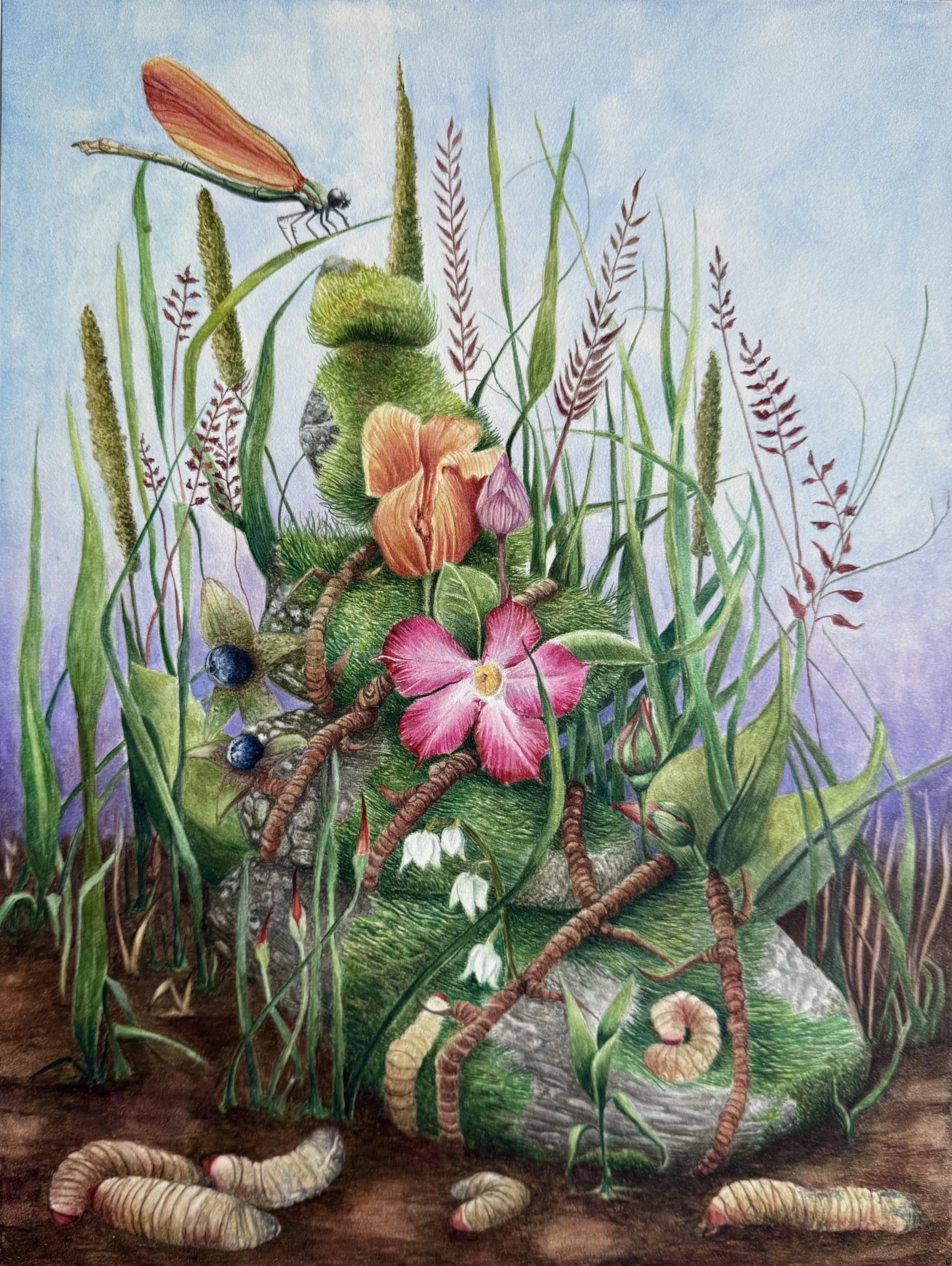moss, rock, flora and fauna.jpg