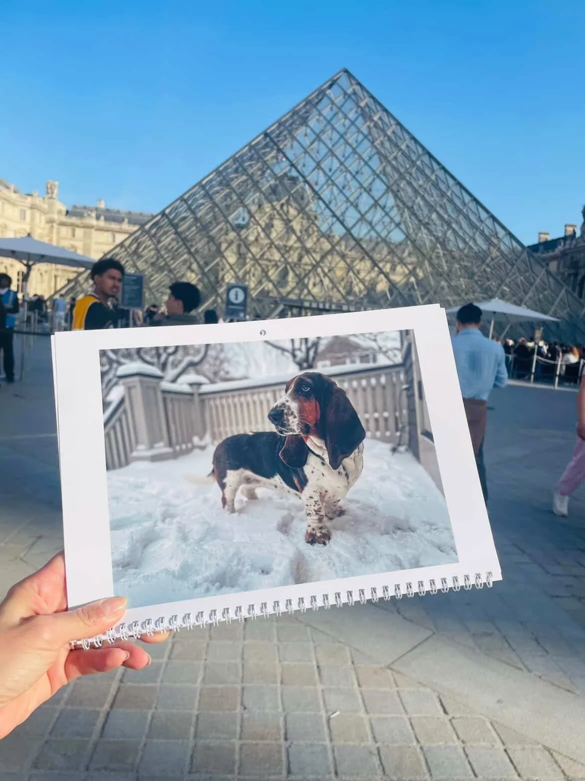 Betty made it to Paris! Our friend @mayra_chavezrochet brought Betty to The Louvre. How awesome is that? We love this so much! Thanks for the 📸 Mayra 💛

#bileaubuilt #bettybileau #reppin #fitcommunity