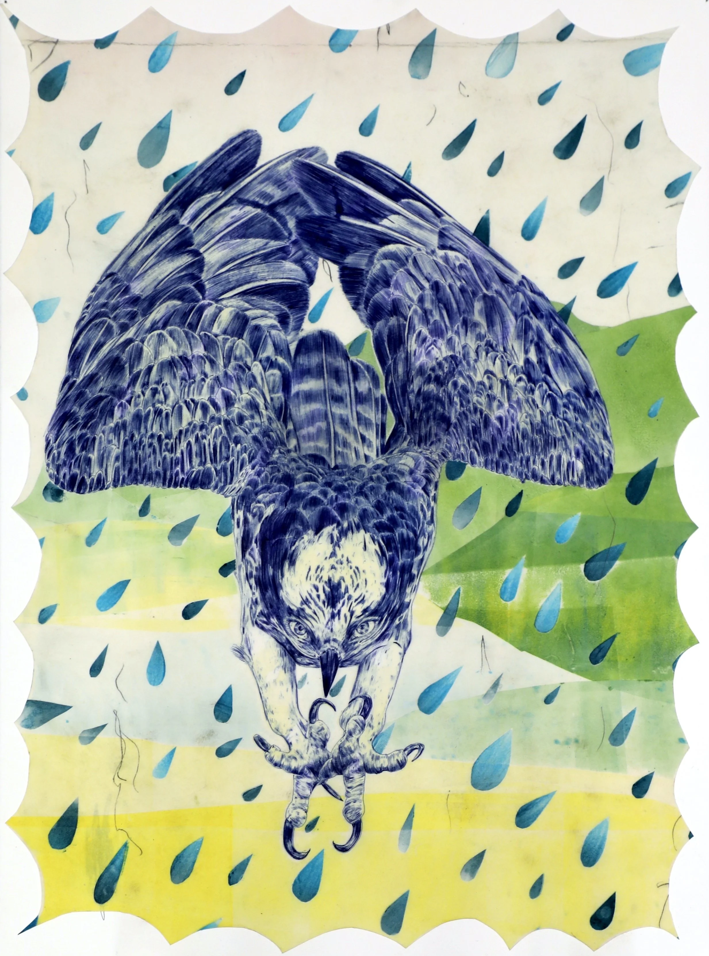 05SLarsen_Osprey.png