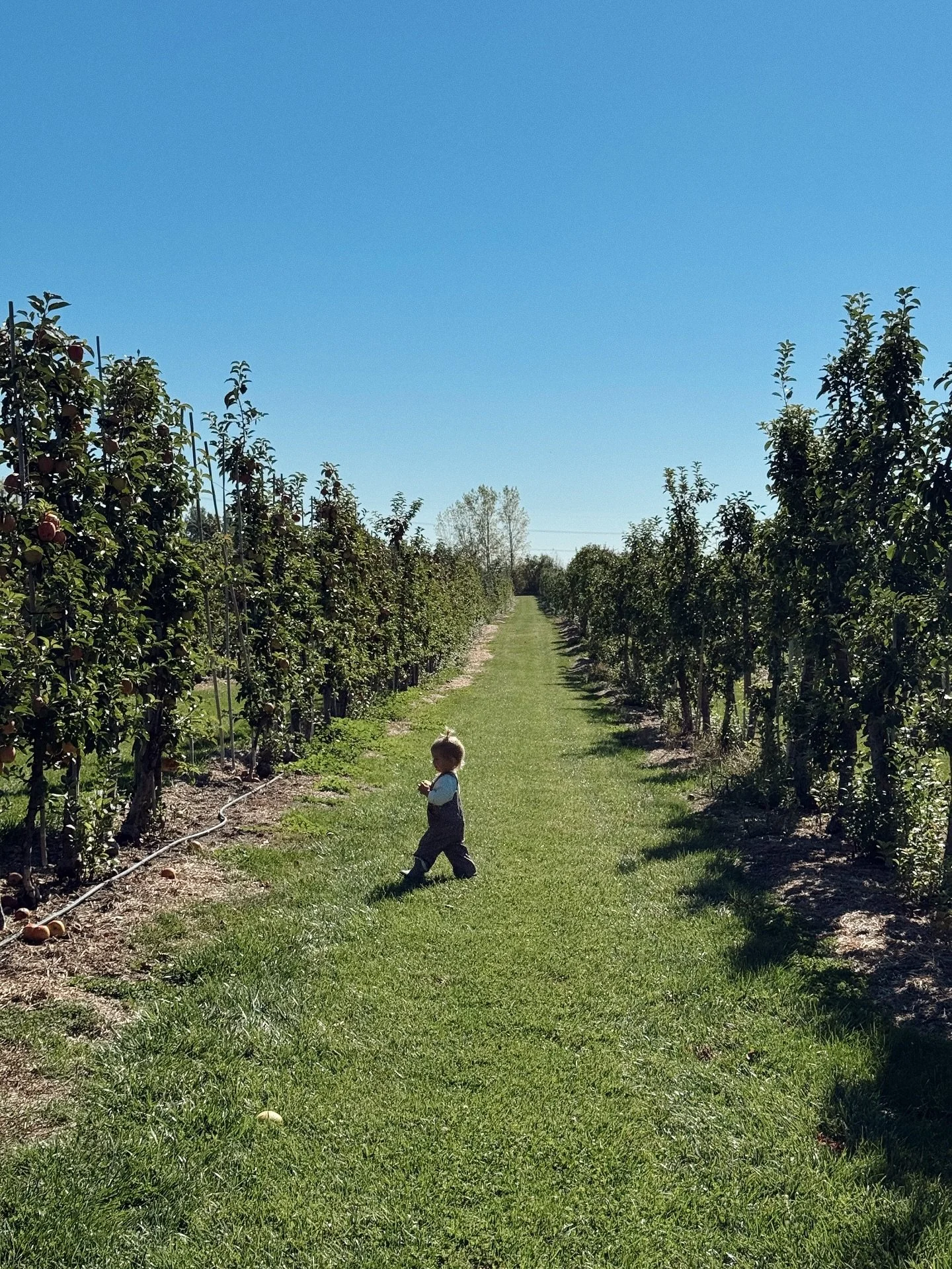 there was a really long time where i thought id only ever be the &ldquo;fun aunt&rdquo; &mdash; or just the doula

that id always be watching from the side lines

ive gone through countless fall seasons of watching the pumpkin patch visits, the apple
