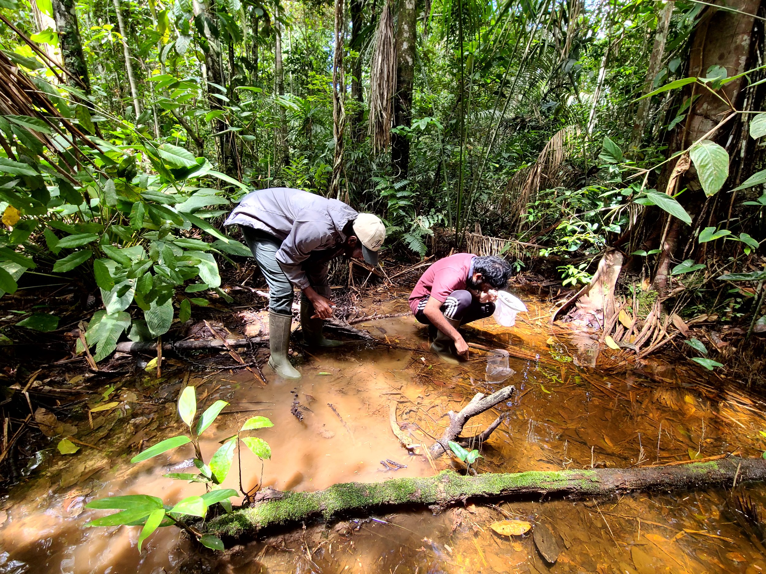 Amazon Field Work 2022