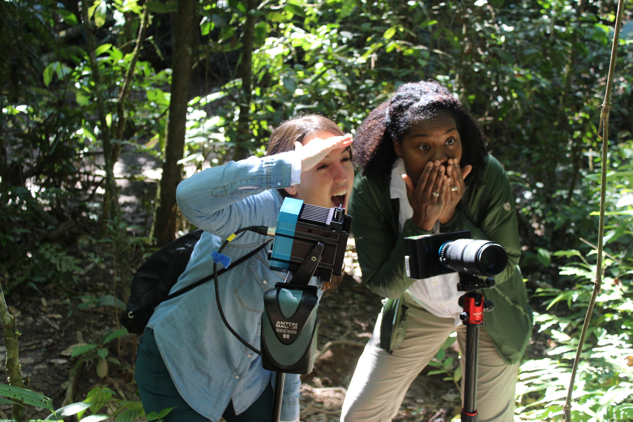 Amazon Field Work 2019