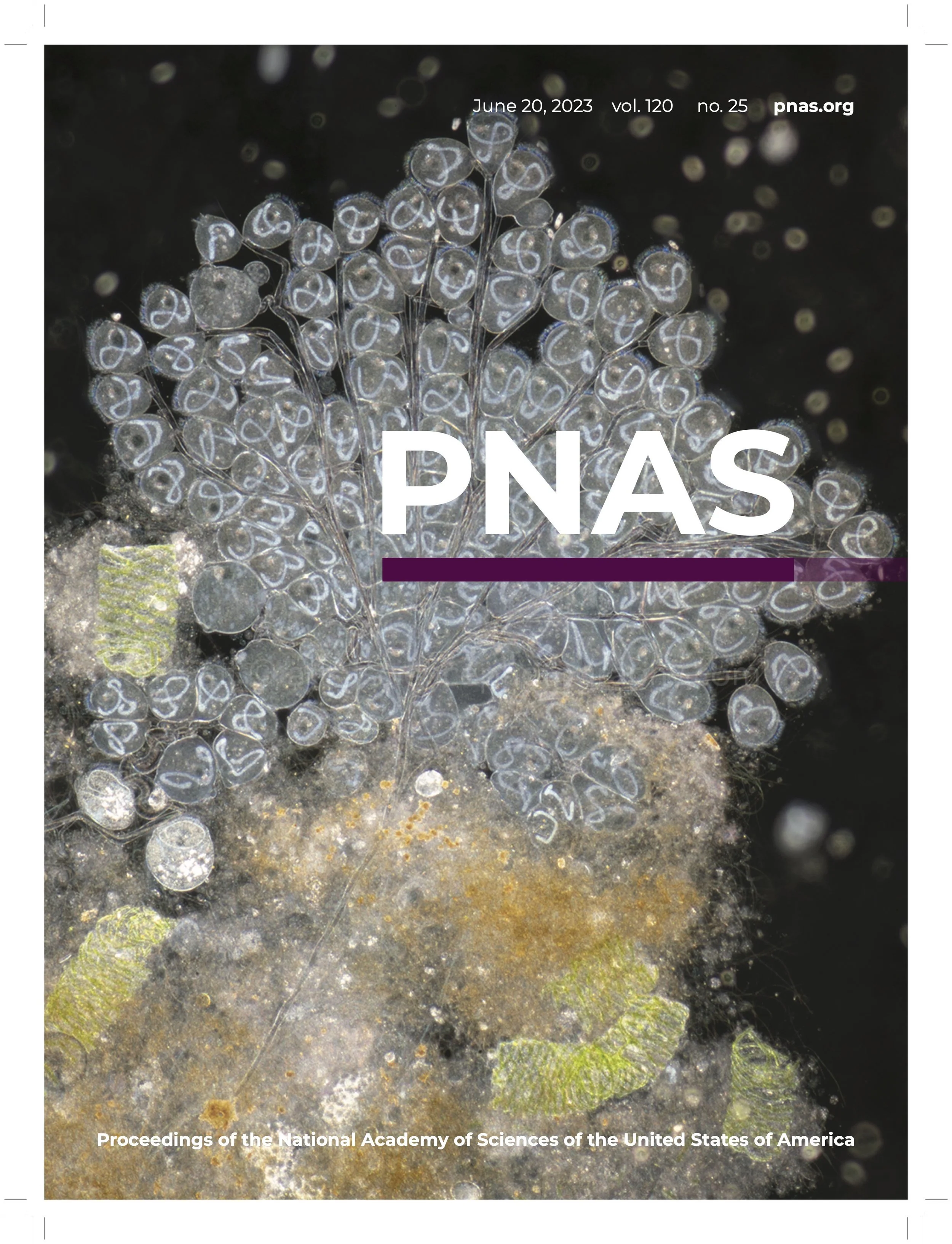 Paper on the ultrafast motion of protozoa