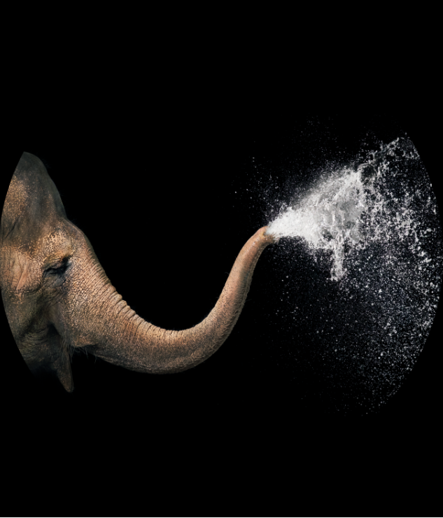 Fluid Ejections in Nature