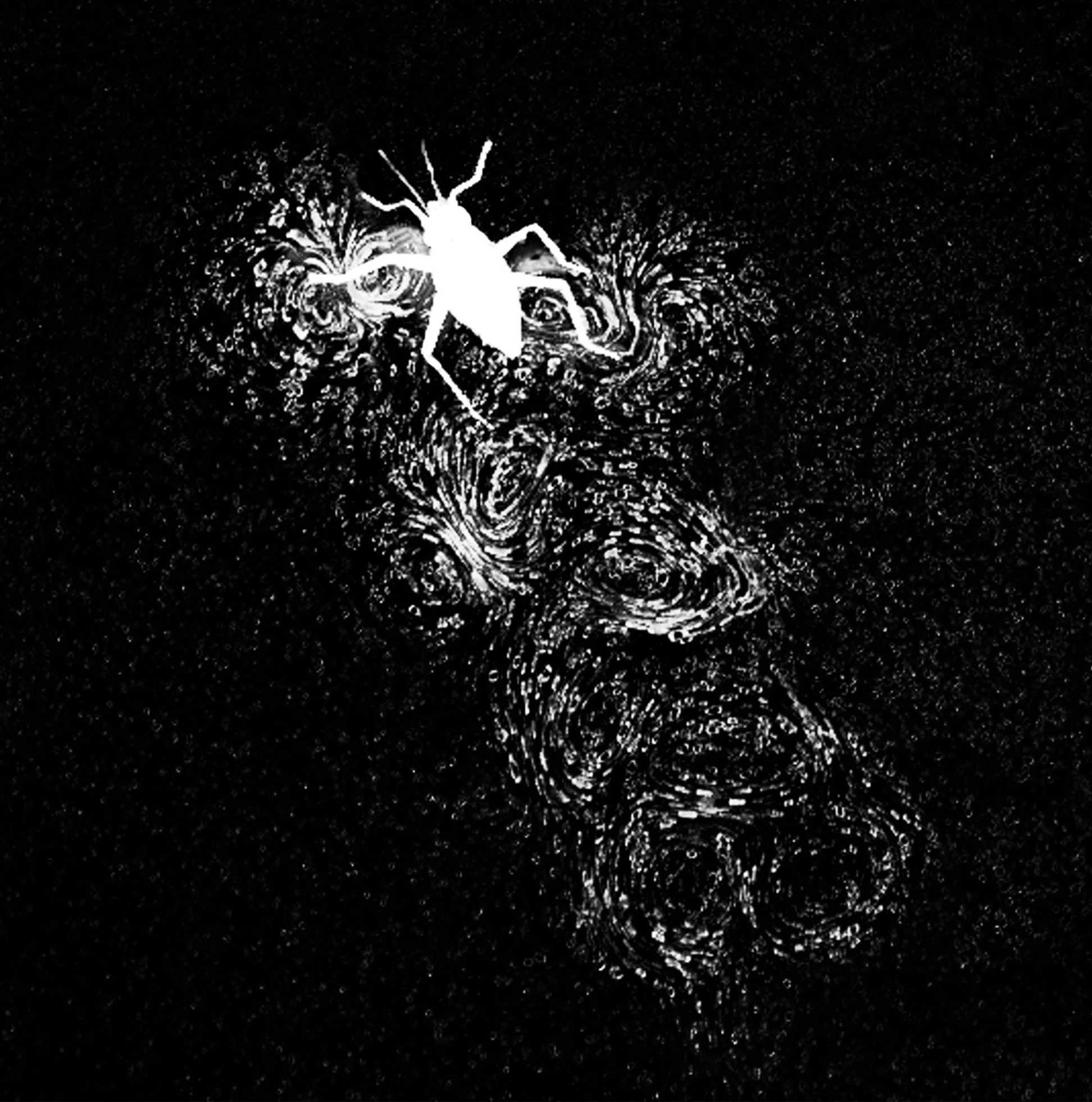 Tiny Amphibious Water Striders