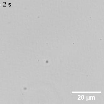 Ultrafast Light Controlled Cells