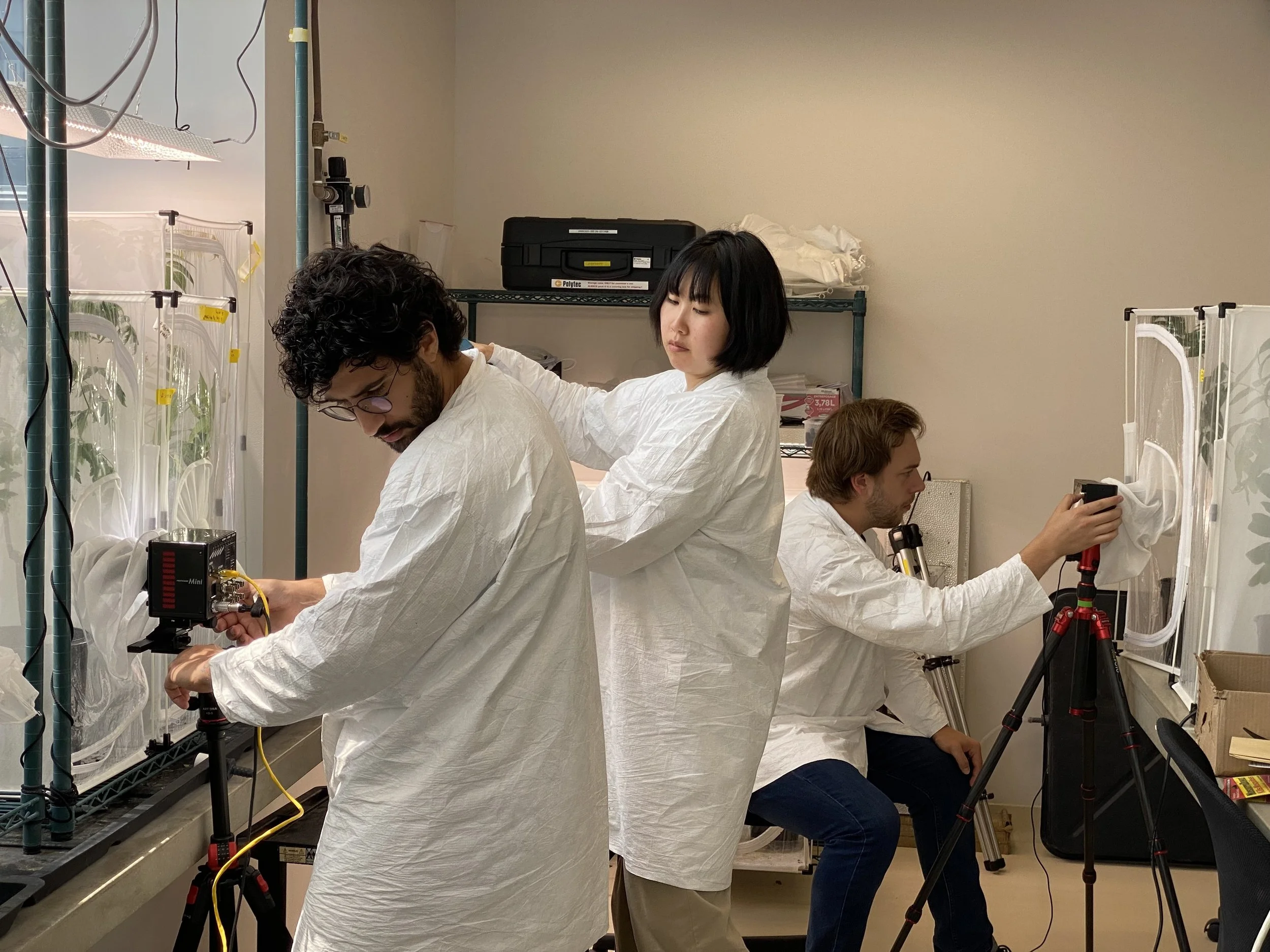 Bhamla Lab Awarded New CDFA Grant