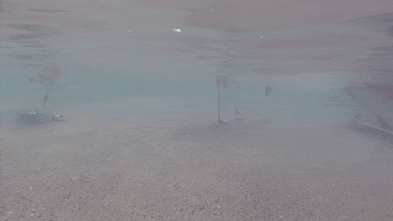 feeding gif.gif